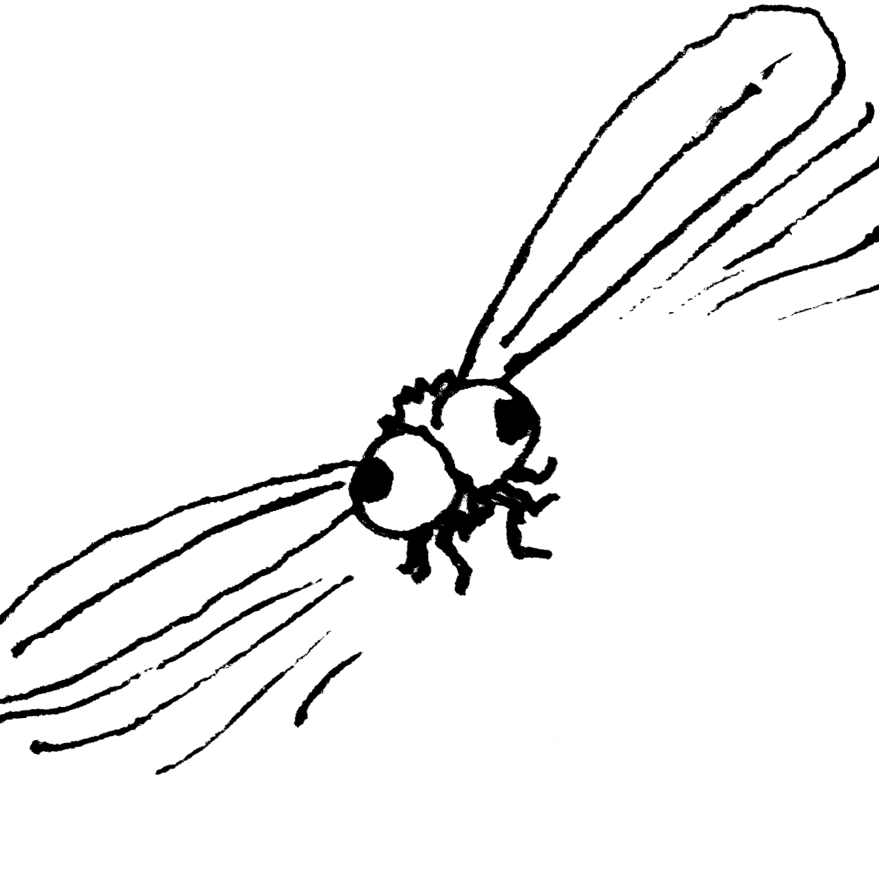 make every day something: make something every day