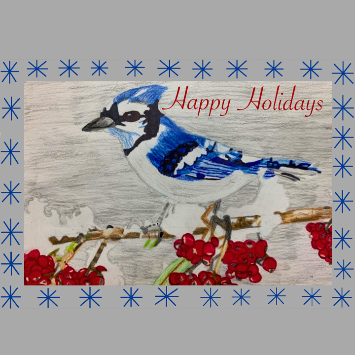 Blue Jay Happy Holidays