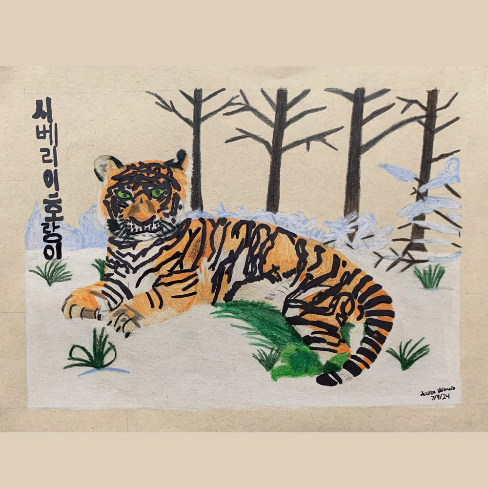 Siberian Tiger