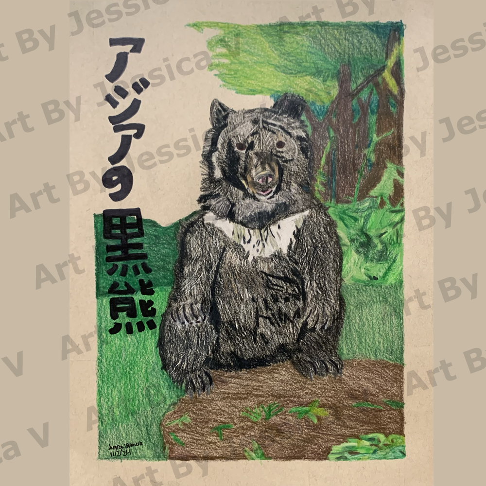 Asiatic Black Bear Watermark.png