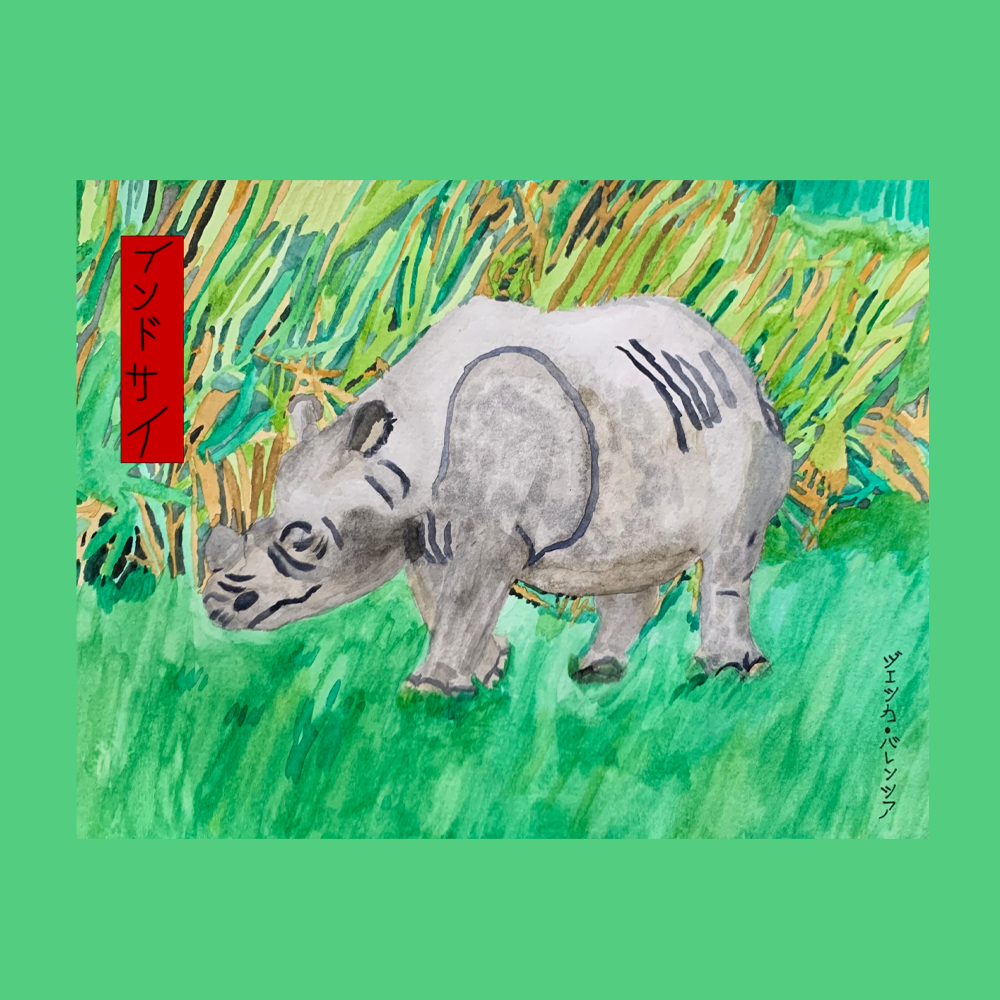 Indian Rhinoceros