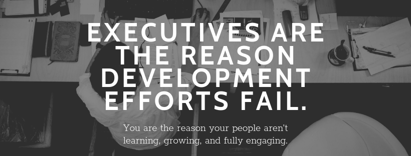 EXECUTIVES-ARE-THE-REASON-DEVELOPMENT-EFFORTS-FAIL..png
