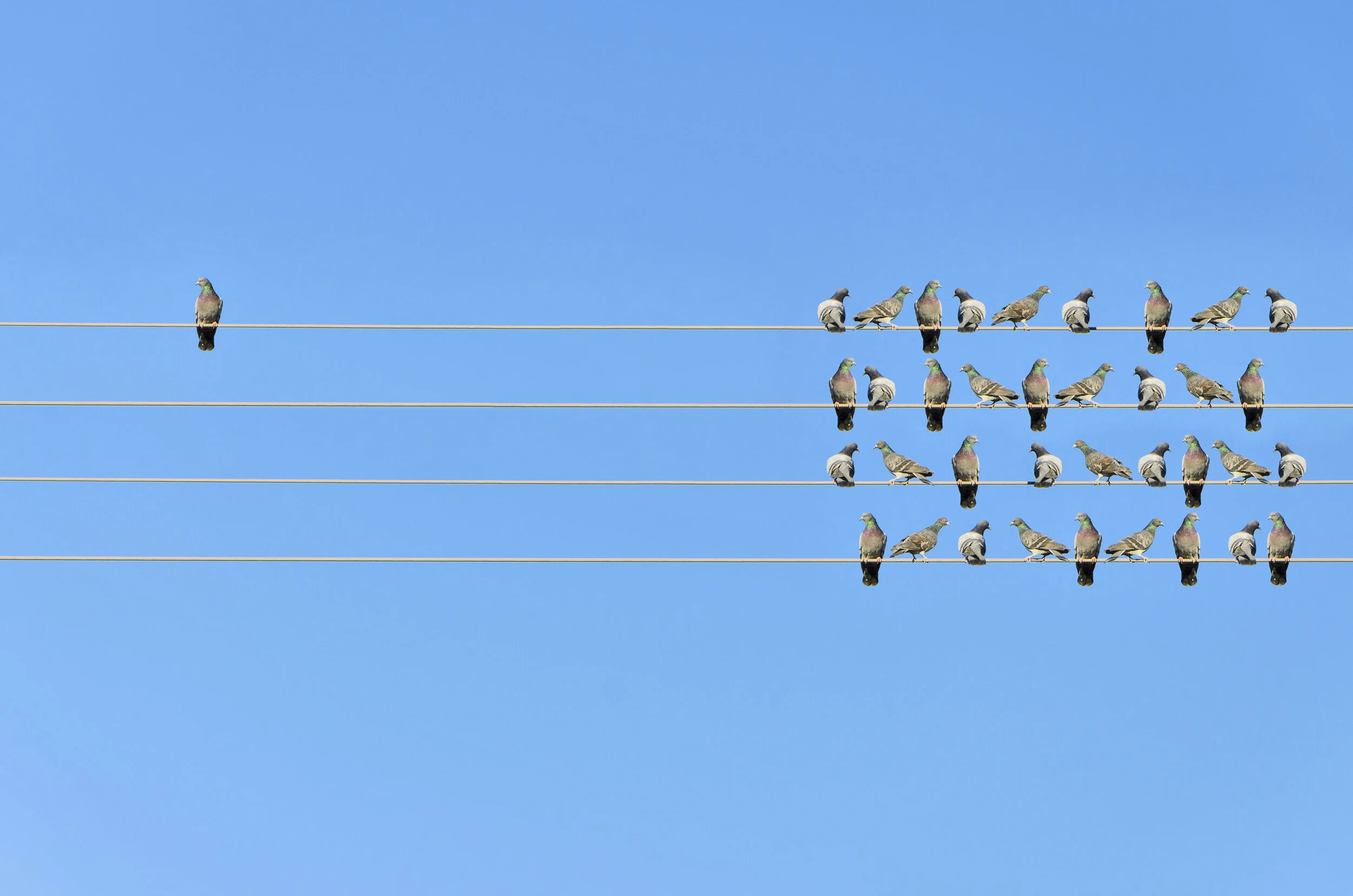 Where do I fit in? - Non-Family Members in the Family Business