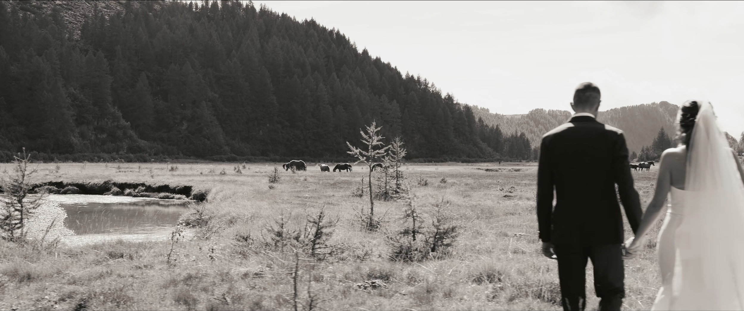A black and white photo of a bride and groom holding hands, walking through a field with mountains and trees in the background, and grazing animals in the distance.