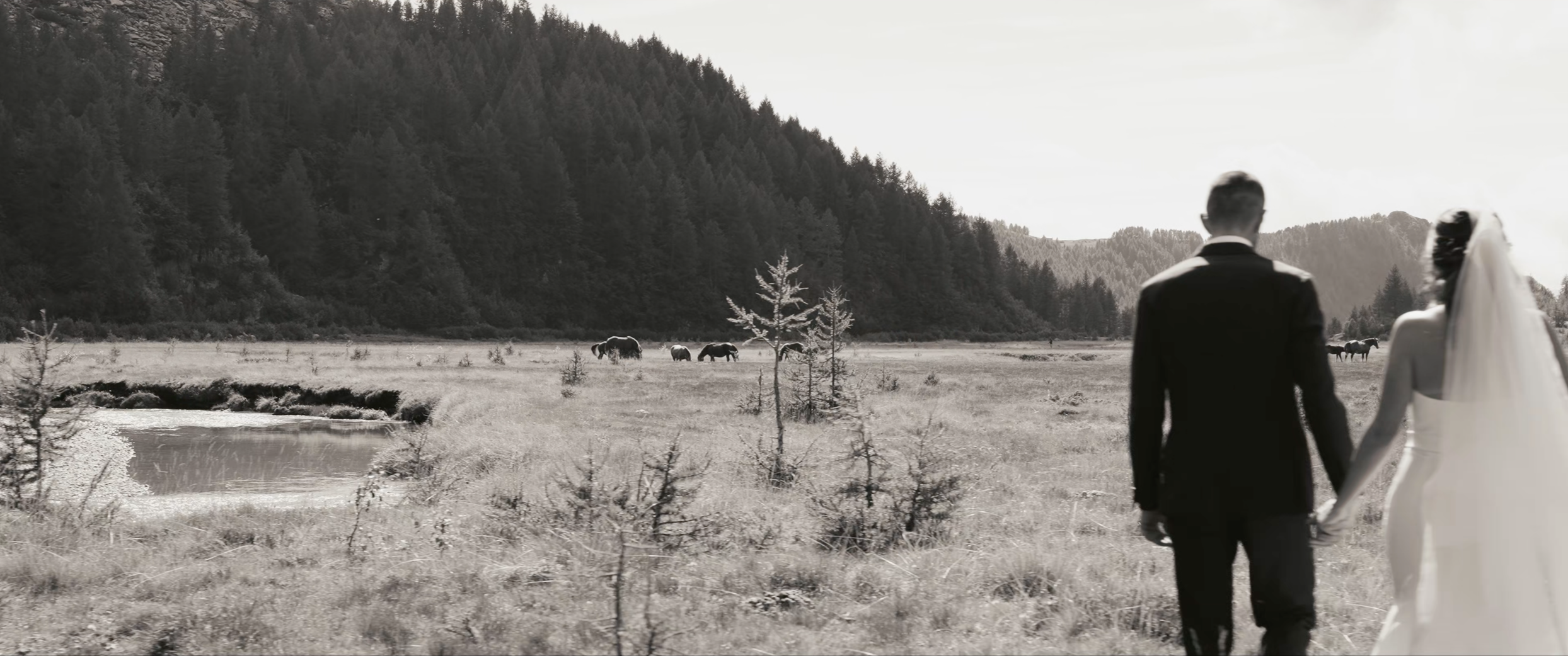 A black and white wedding photo of a bride and groom holding hands and walking towards a scenic landscape with a pond, small trees, and hills with horses grazing in the distance.