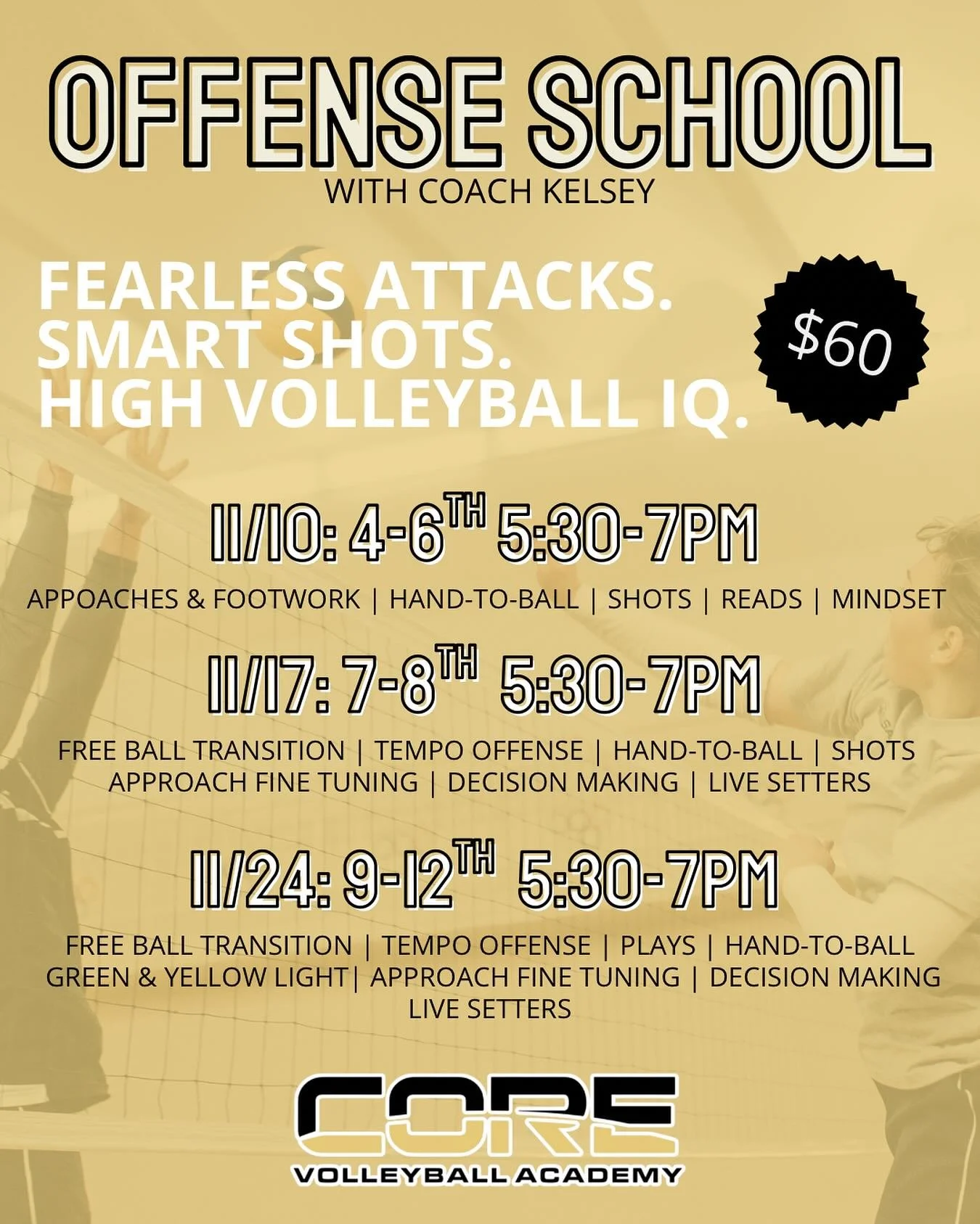Join me for all things offense! Hitters will work on fundamentals, form, and offensive strategies. Older age groups will have the chance to work with high-level setters! DM to get signed up, or head to the link in my bio! Happy hitting, friends!