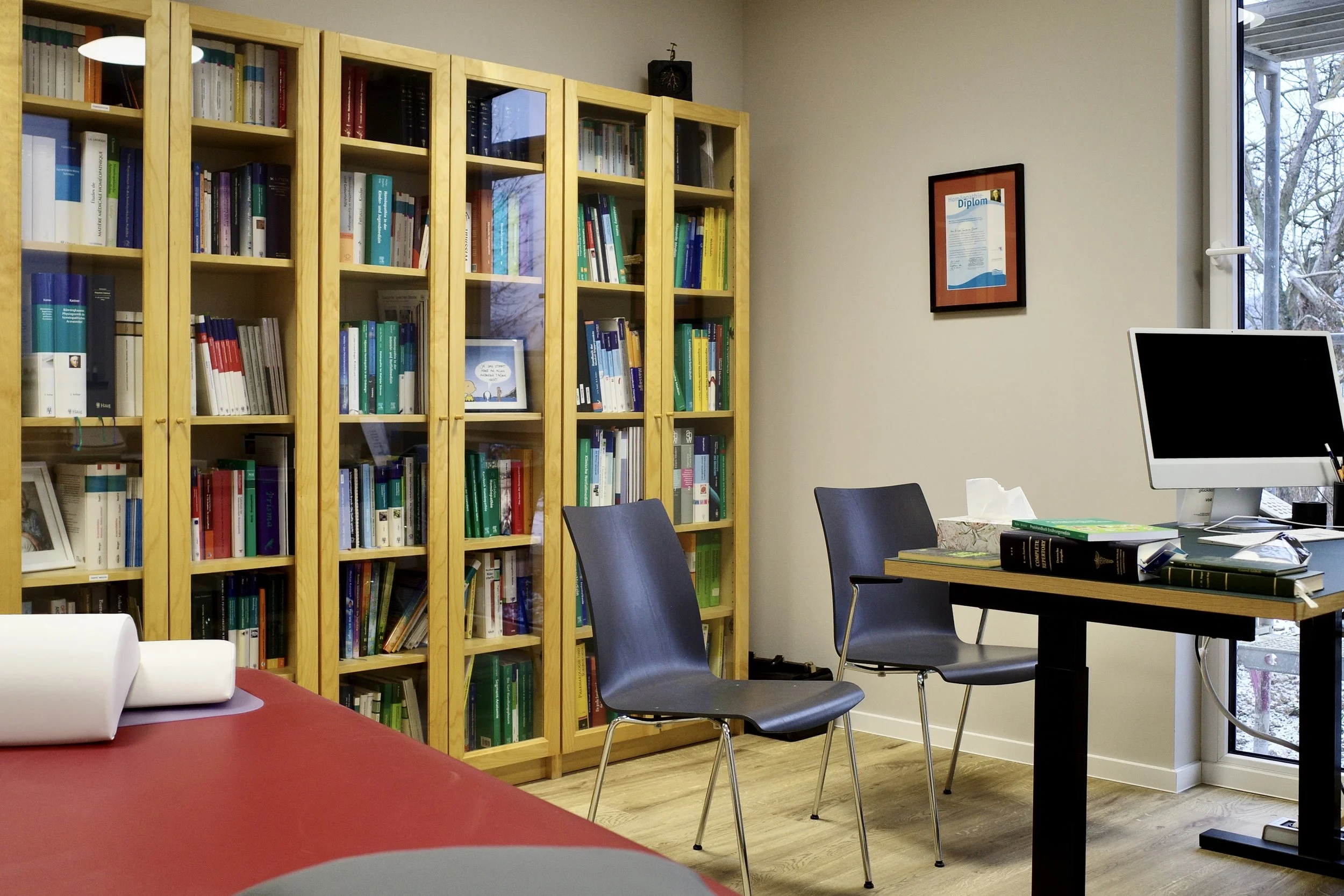 Foto eines Behandlungszimmers mit Liege, Bücherregal, Schreibtisch, Computer, zwei Stühlen und Fensterausblick.