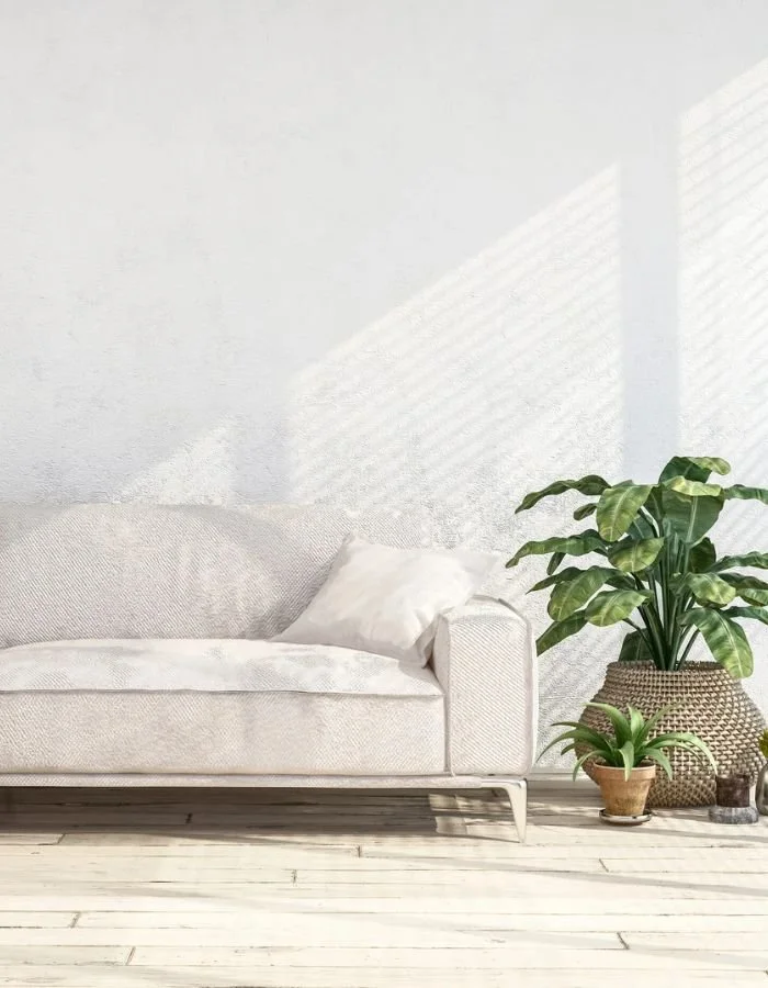 A white sofa with a pillow, next to two potted plants on the floor, in a bright room with sunlight casting shadows.