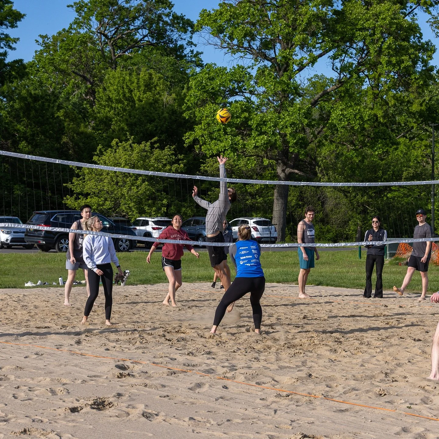 People playing beach volleyball on a court with sandy surface, surrounded by trees and parked cars on a bright, sunny day.