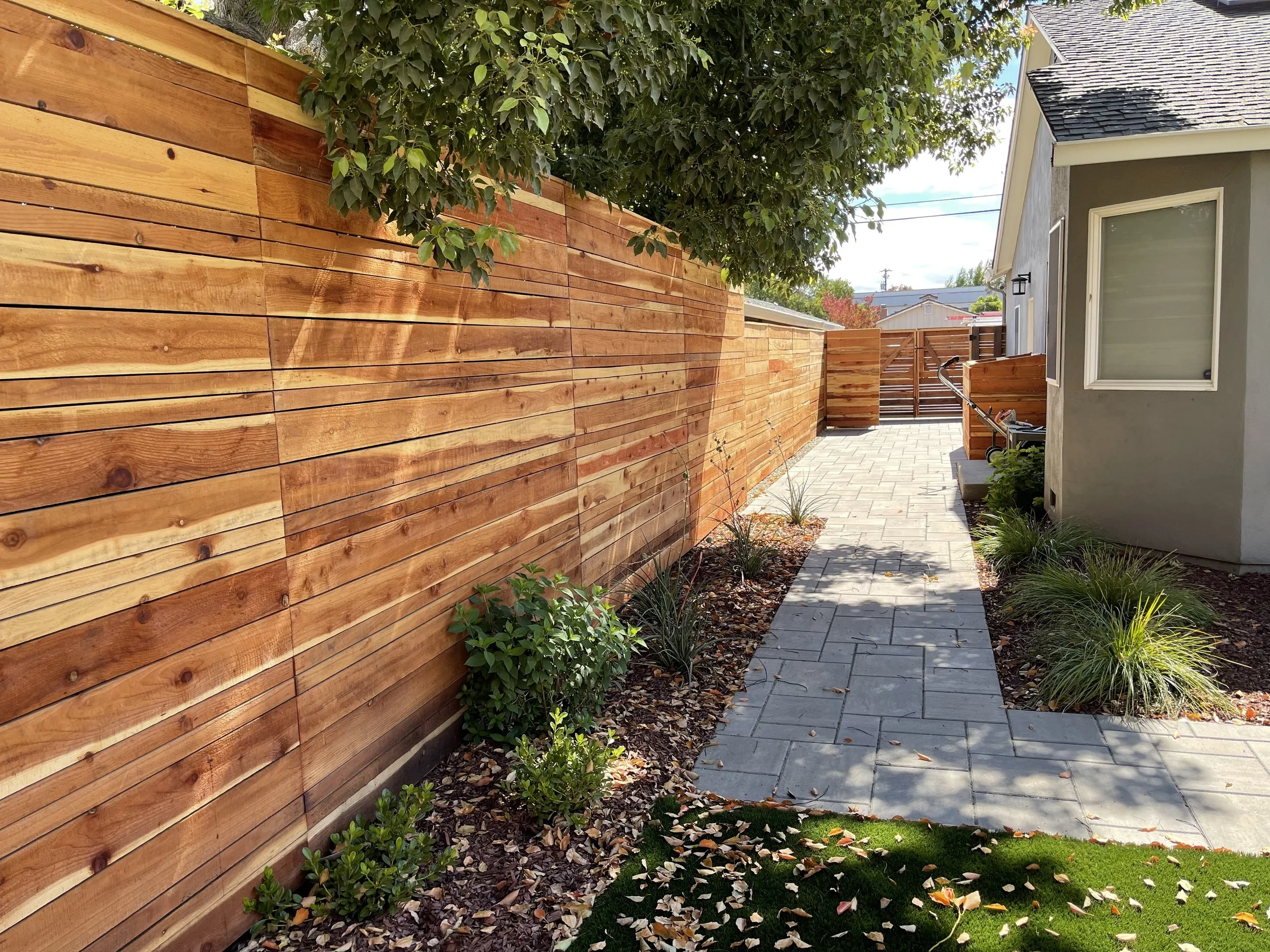 View of a backyard with a wooden privacy fence on the left, a concrete pathway, small plants and bushes on both sides, and a grey house with a window on the right. A tree with green leaves overhangs the fence, and fallen leaves are scattered on the grass and pathway. In the background, there is a gate and some neighboring houses.