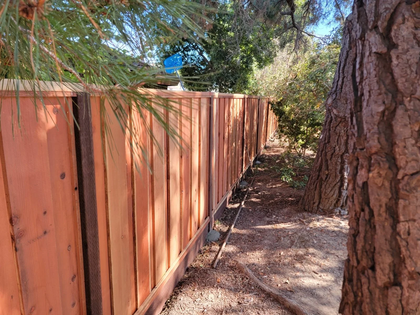 Board on board fence san jose