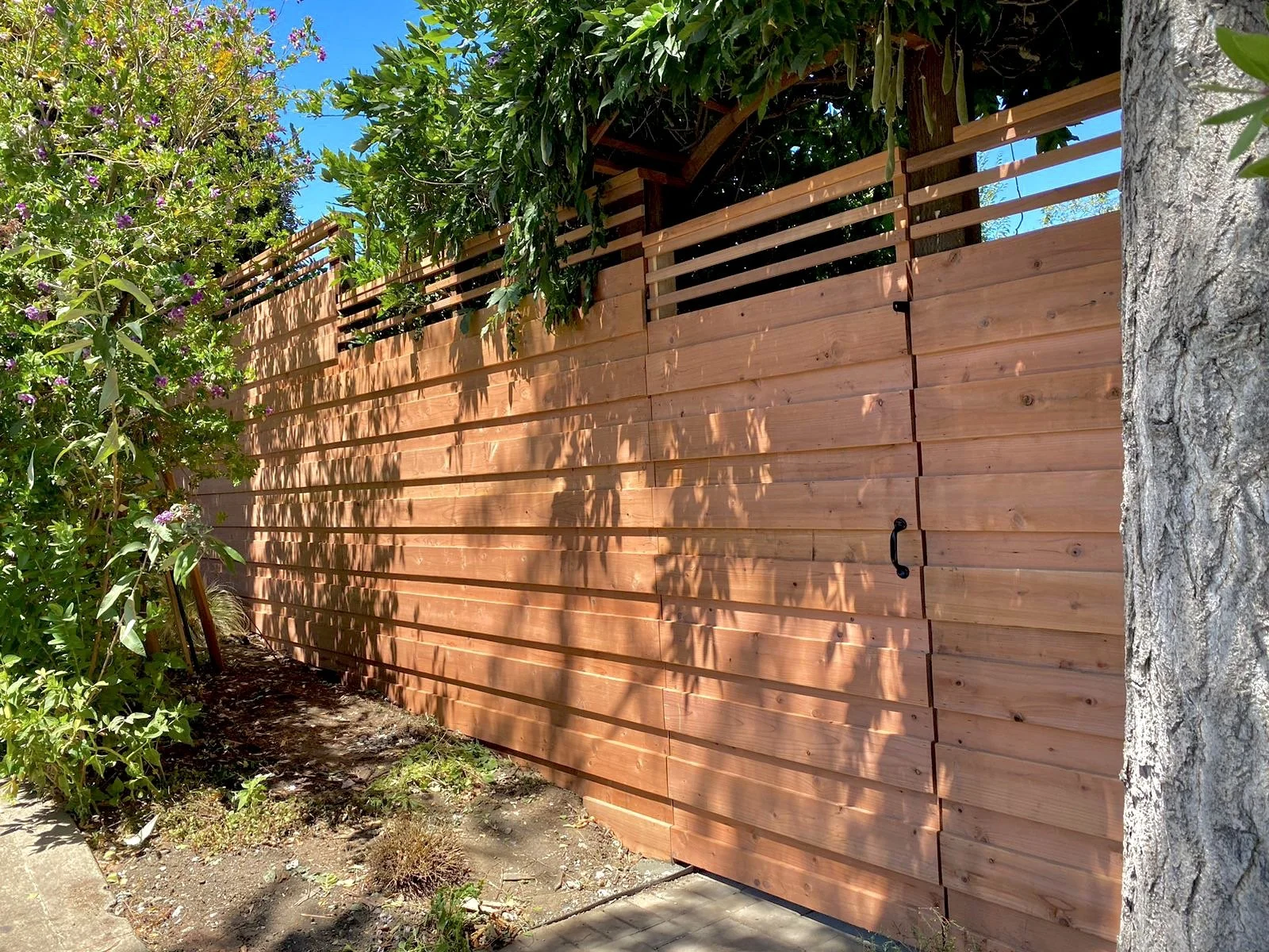A wooden fence in a garden, with surrounding trees and plants, and a bright blue sky visible in the background.