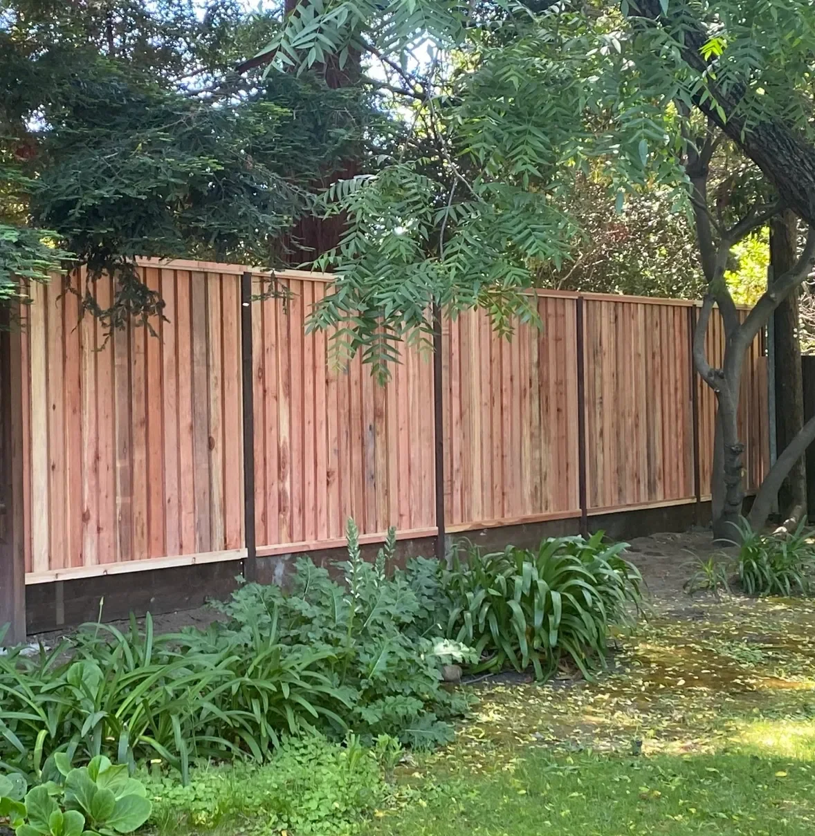 A wooden privacy fence in a backyard, surrounded by lush green plants, trees, and grass.