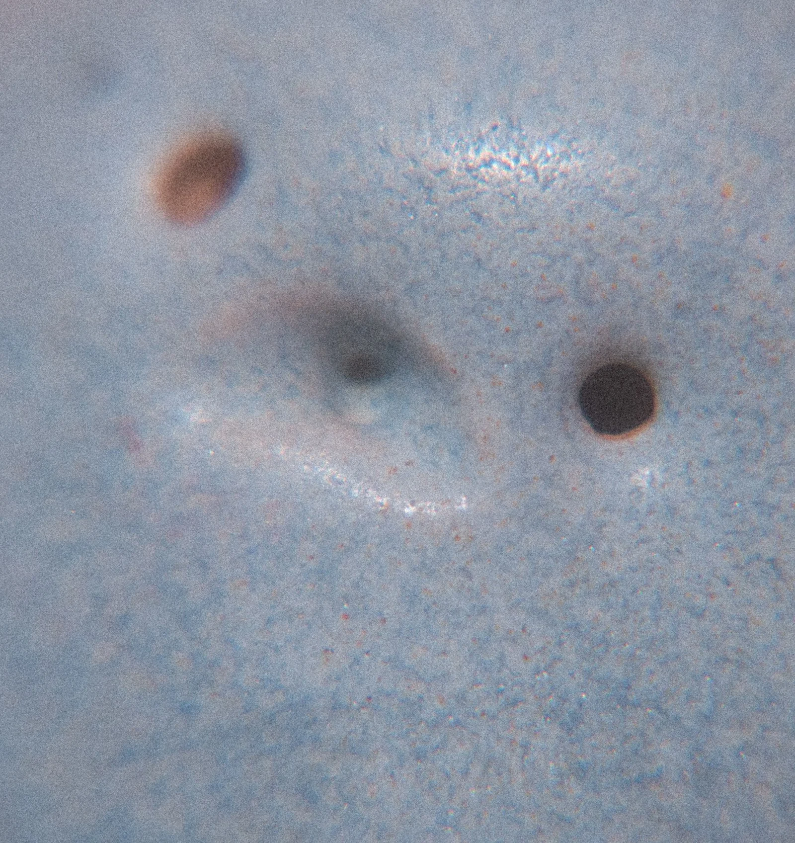 cloudy earl grey close up.jpg