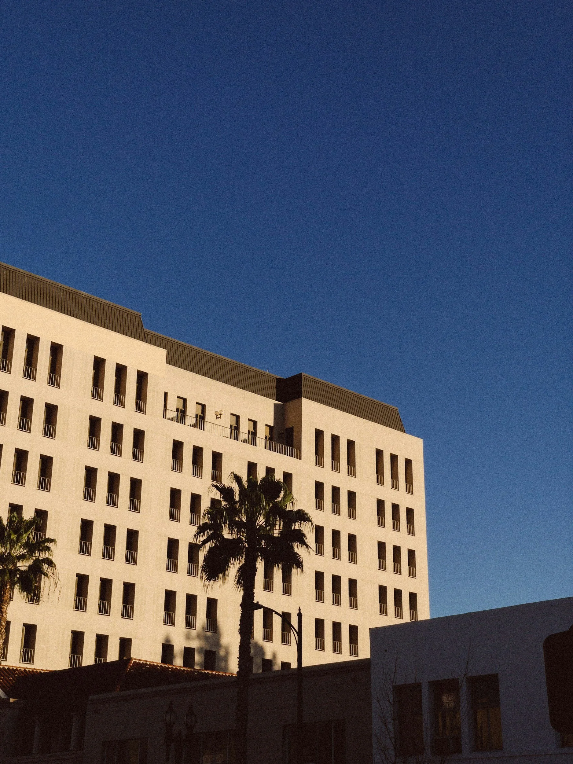 aLos Angeles building and palm trees against a blue sky