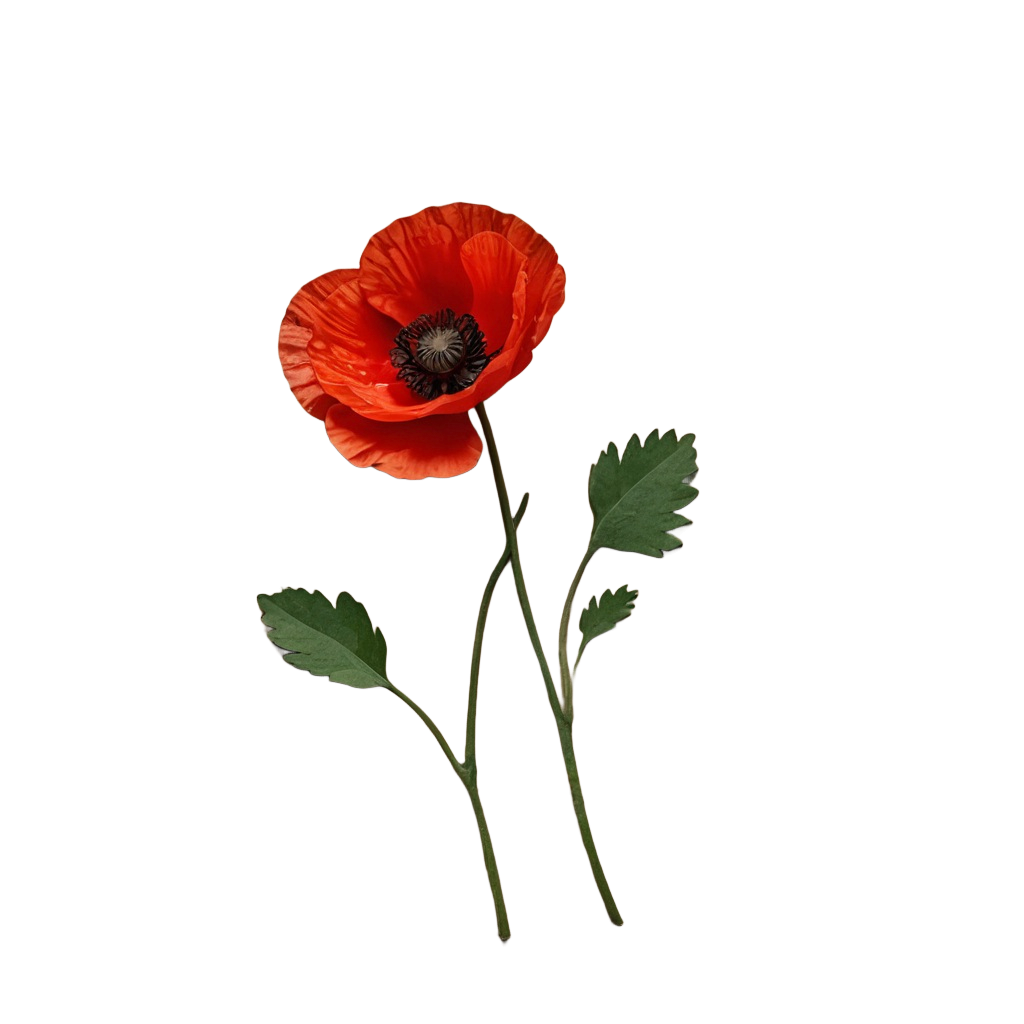 John Holden Celebration of Life