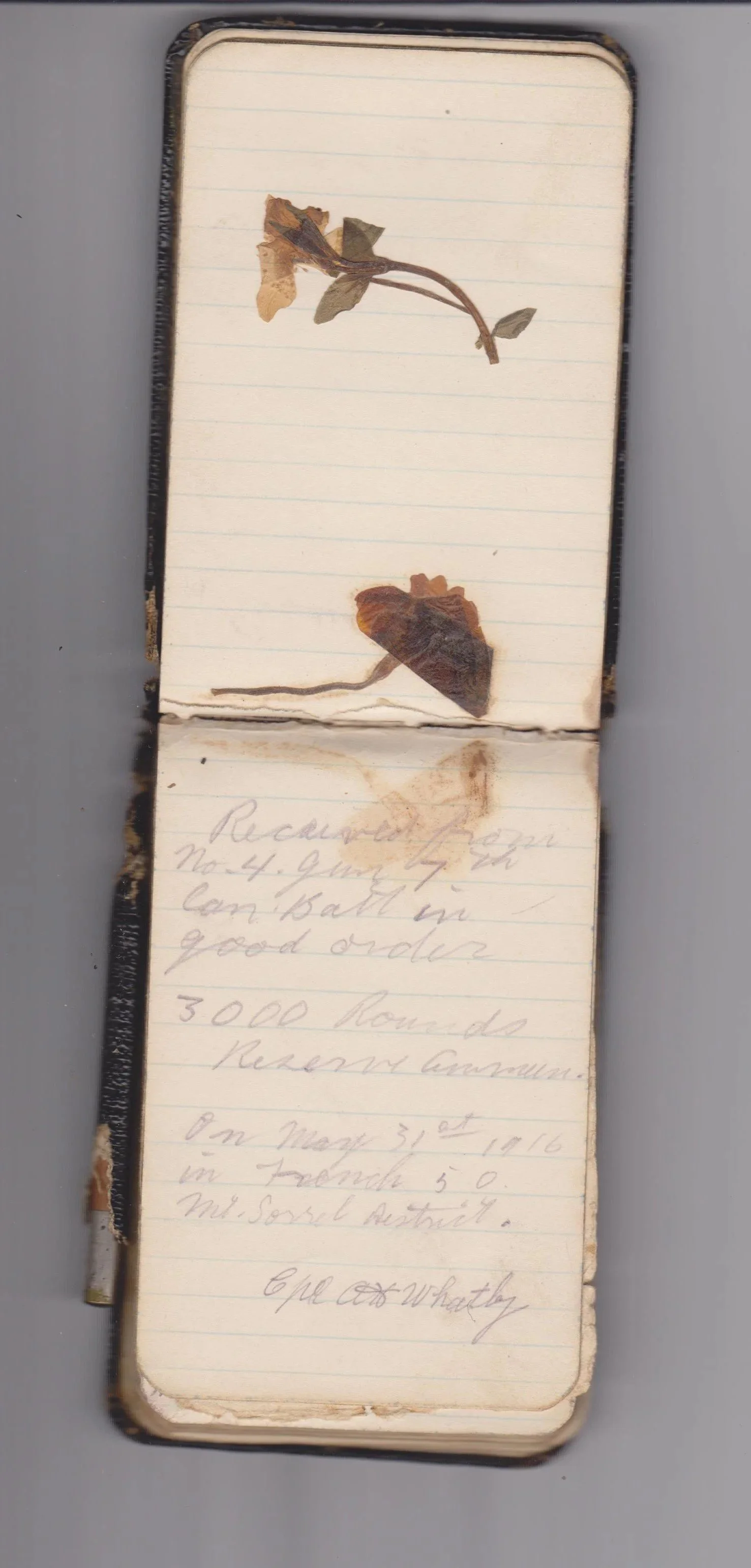 Sgt Carr's Notebook  1916
Poppy from Flanders Field