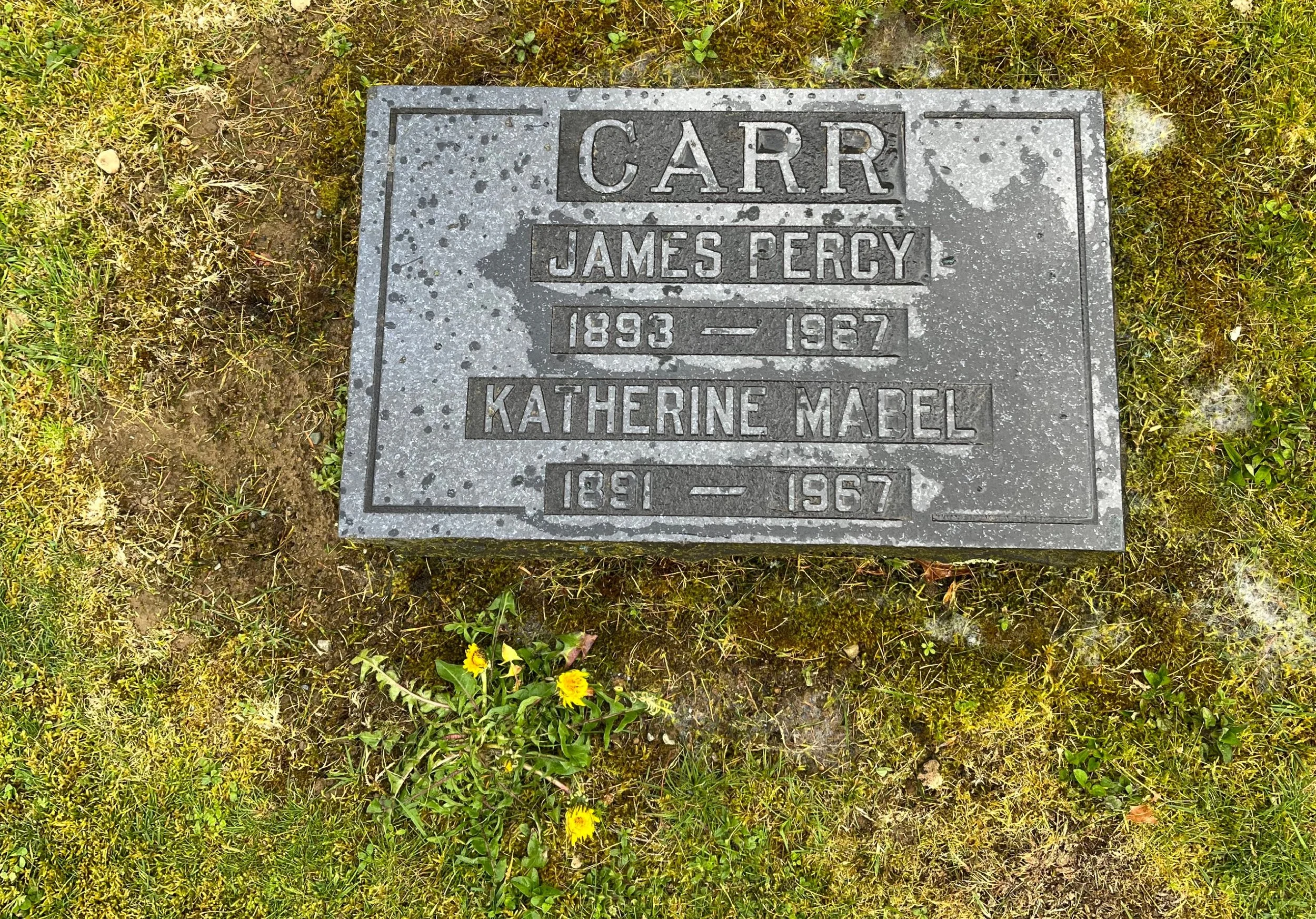 James Percy CARR

Mt. Lehman Cemetery
Image taken by Stan D Harvey.
