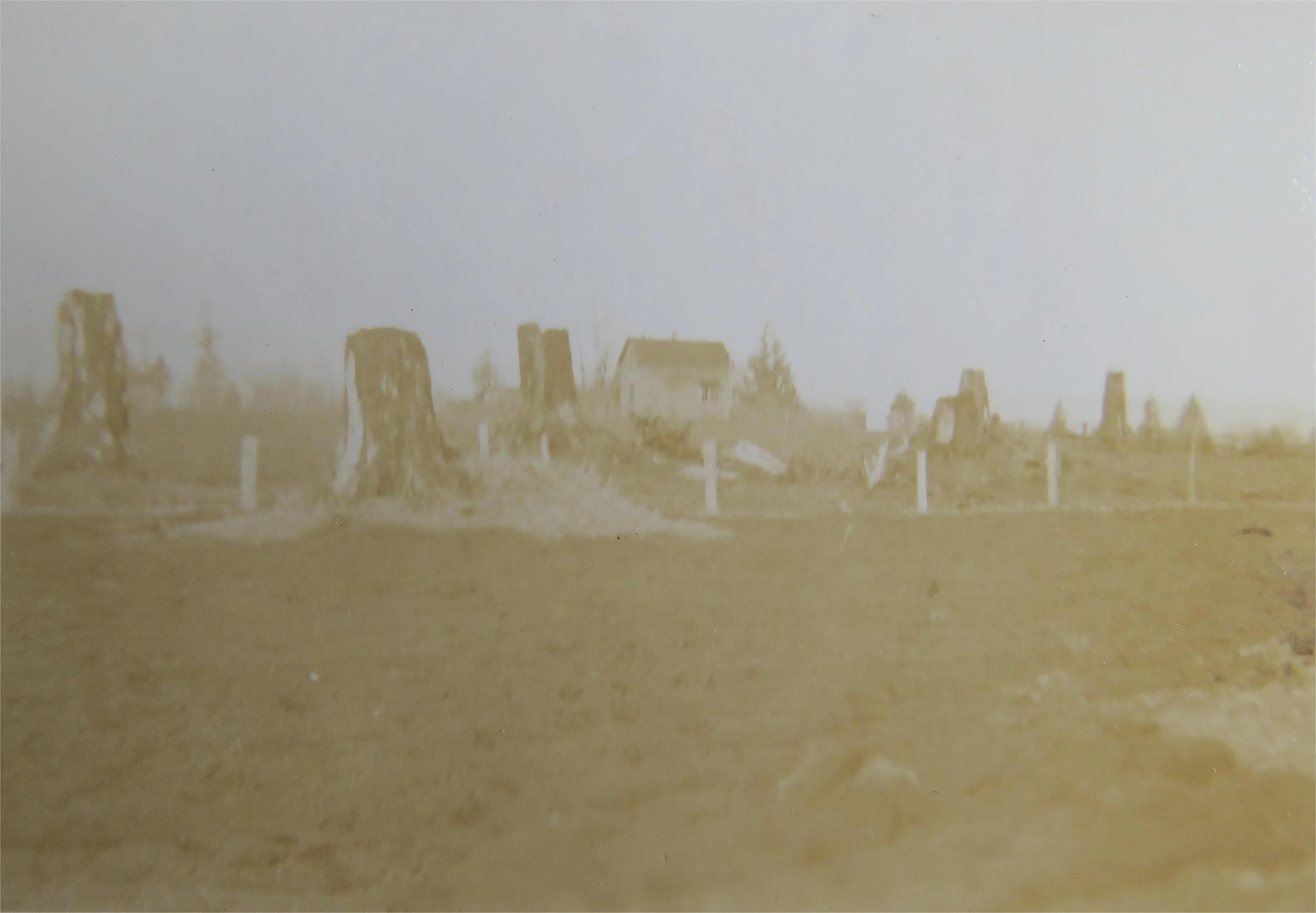 An old, faded photograph of a barren landscape with tree stumps and a small house in the distance.
