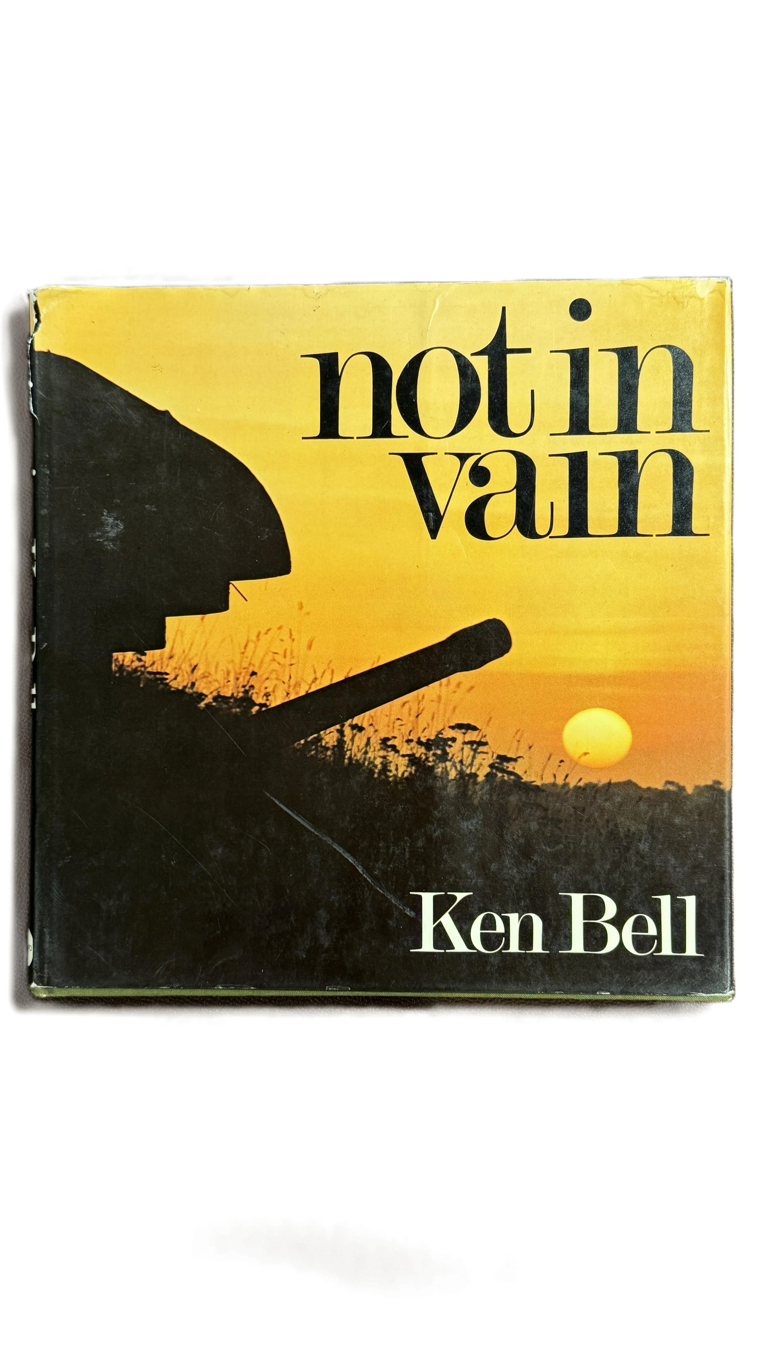 Book cover titled 'Not in Vain' by Ken Bell, featuring a silhouette of a person playing a guitar against a sunset background with an orange sky and a setting sun.