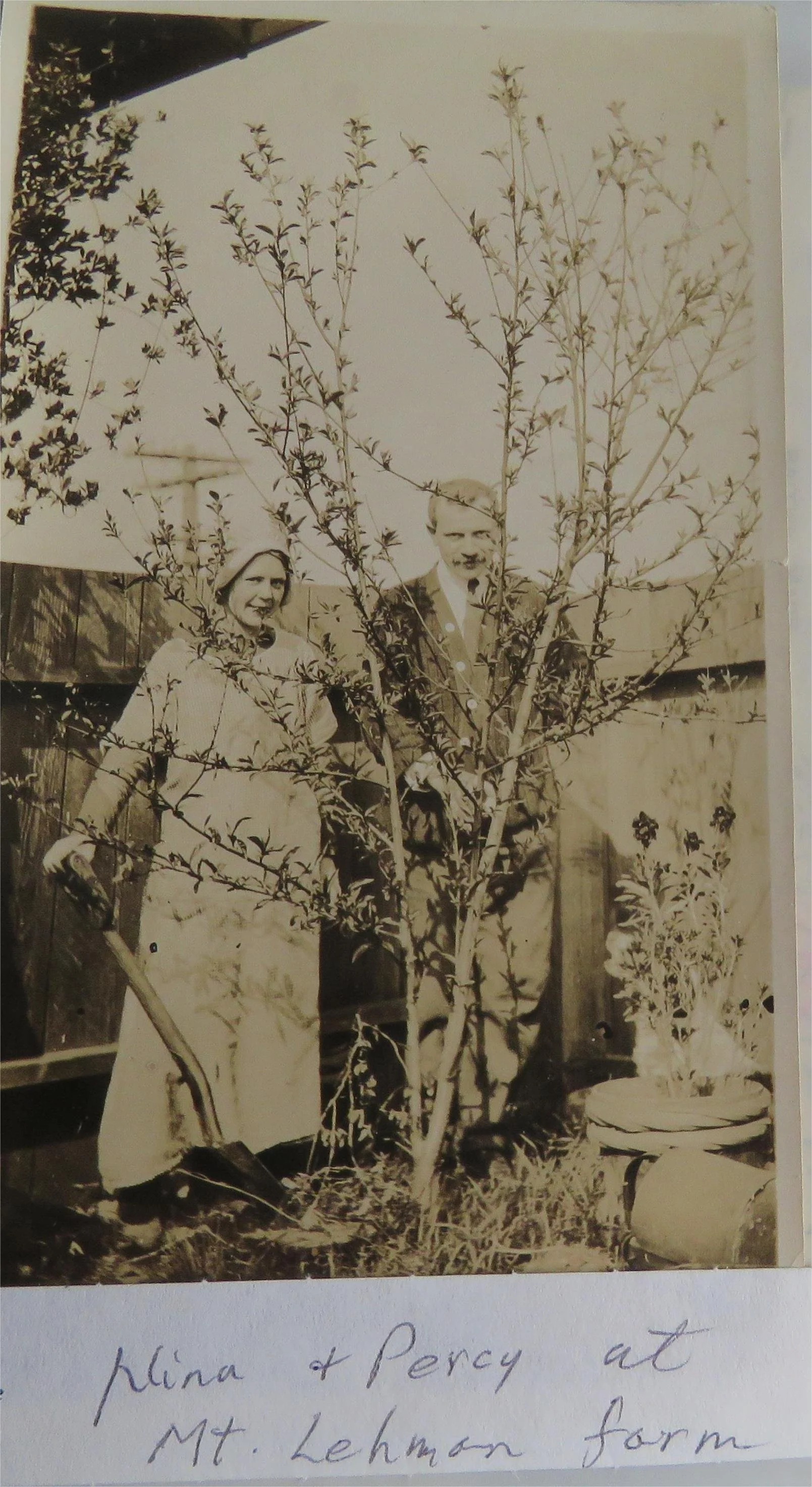 Percy and Nina Carr
On the farm near on Mt. Lehman Rd, near north of the post office.  

Percy stayed on the farm with his two sisters until they moved on, one of them being Nina who later became Stan F Harvey's wife.

Percy sold the farm and moved s