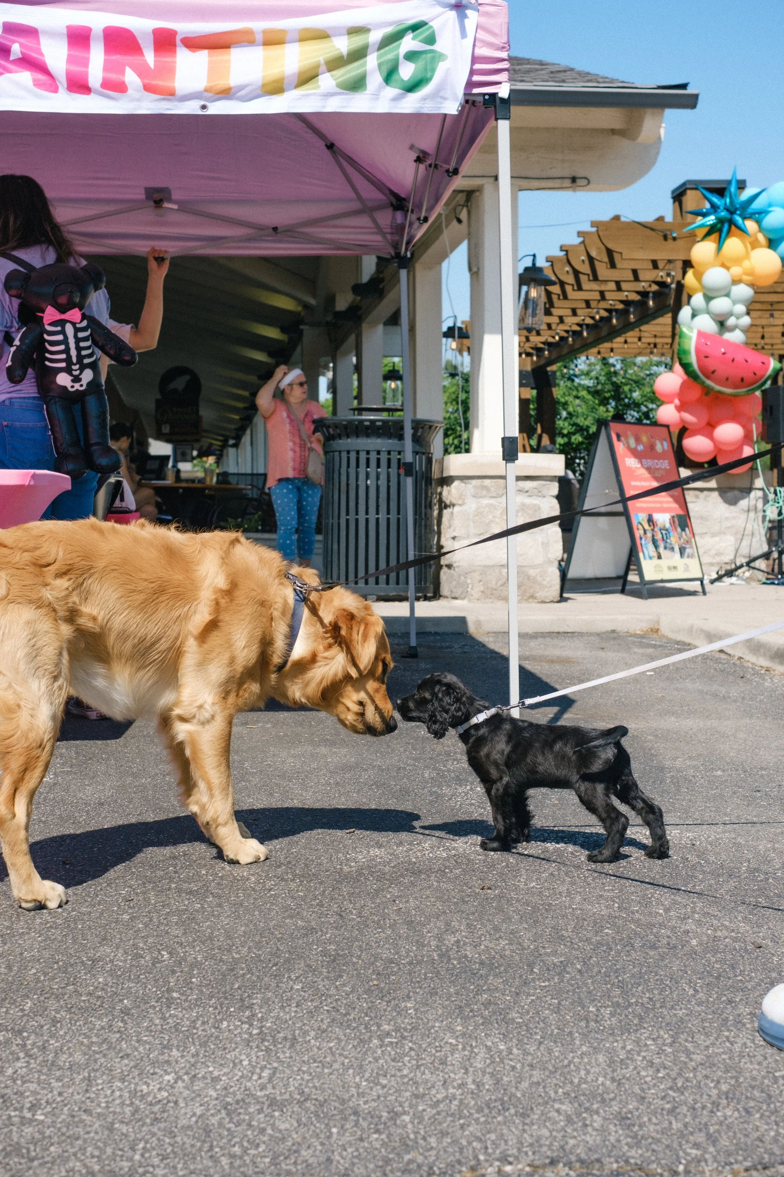 A golden retriever and a small black puppy touch noses at a pet event in front of a tent with colorfully painted letters, with balloons and people in the background.