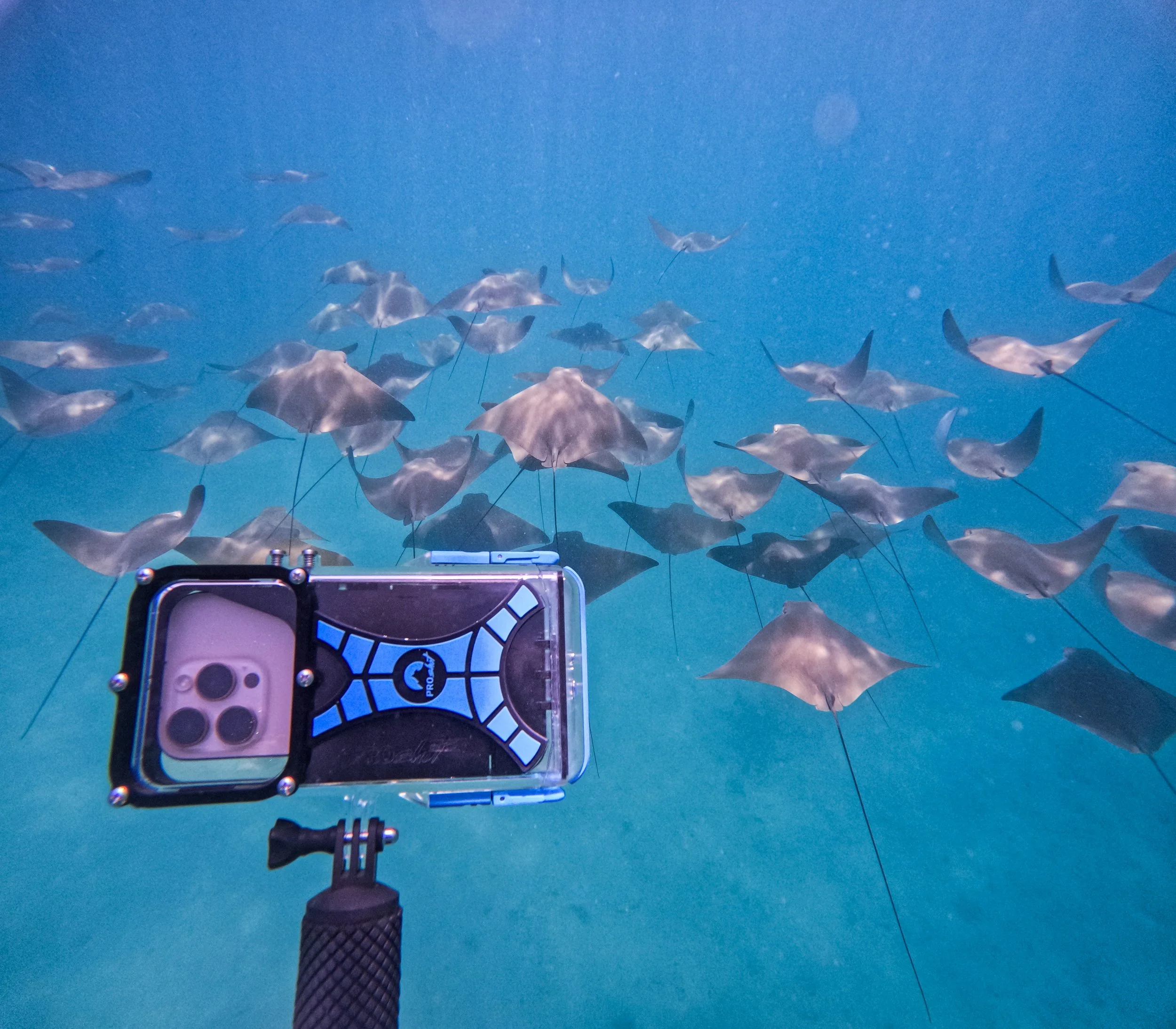 Proshot & Tidal Sports_Galapagos_1.jpg