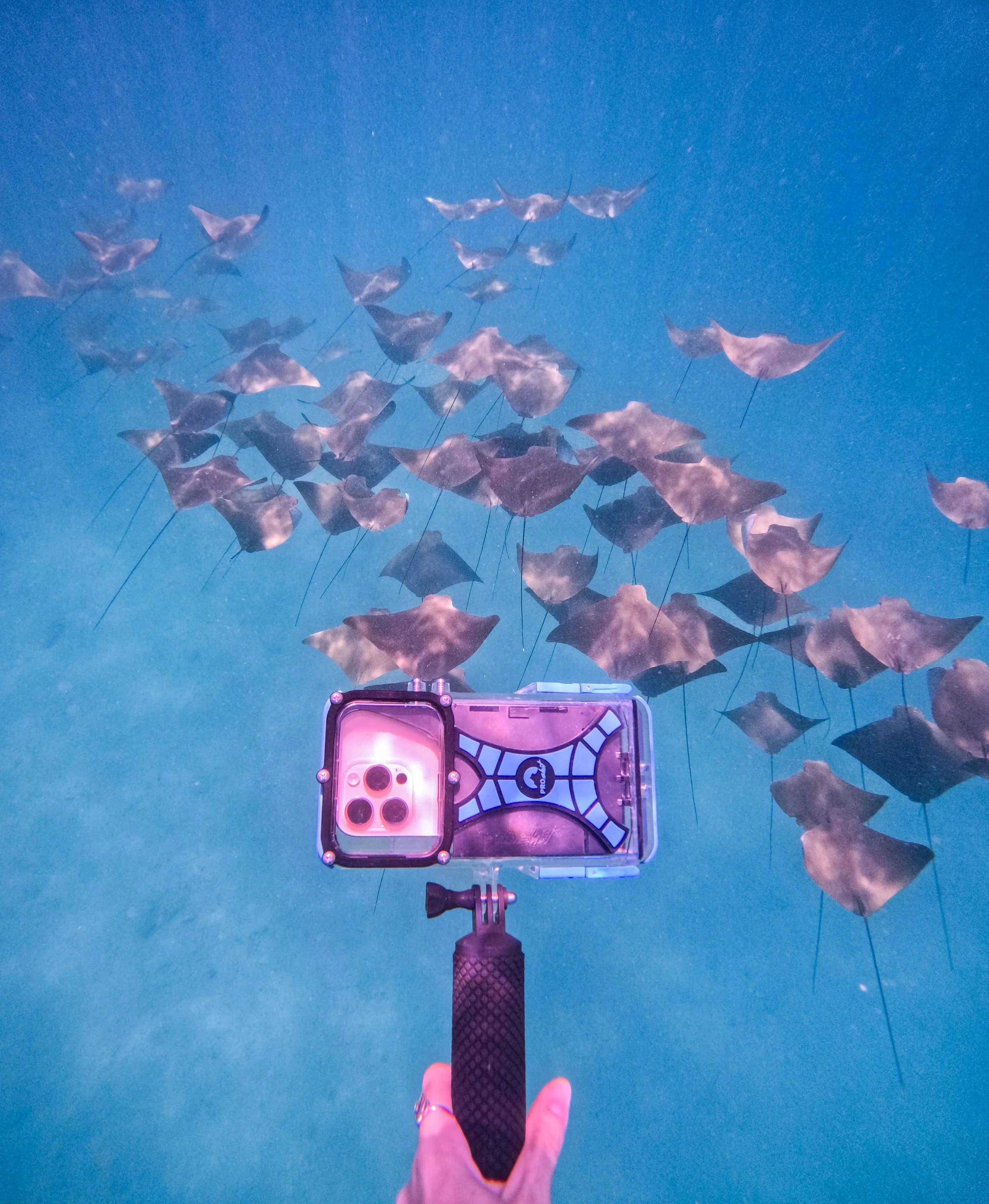 Proshot & Tidal Sports_Galapagos_6.jpg