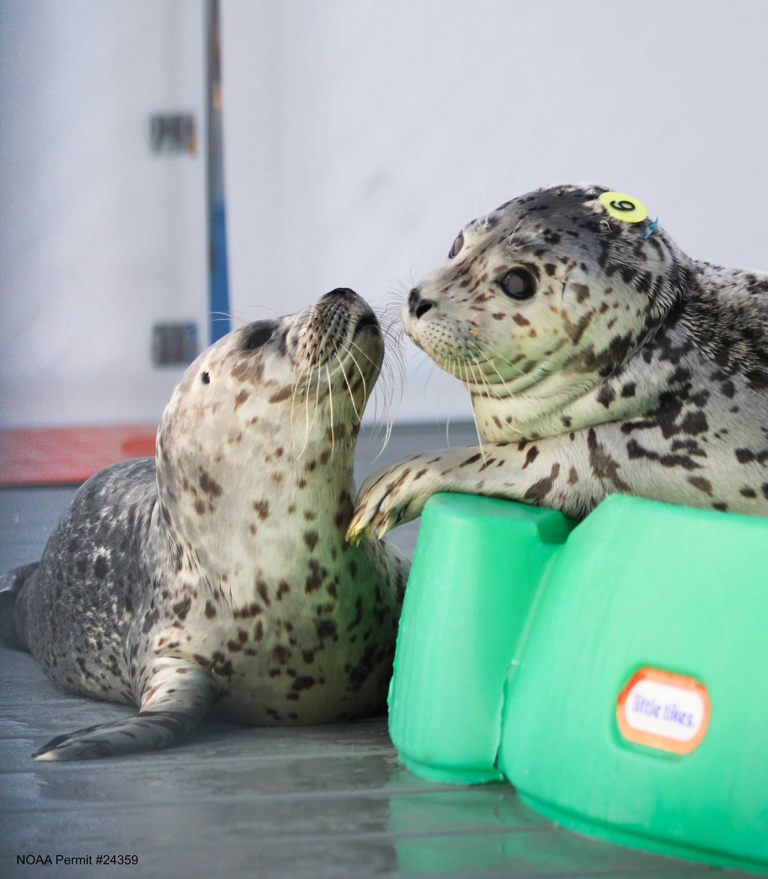 25_12_9_PV_DECK_02 (1).jpg