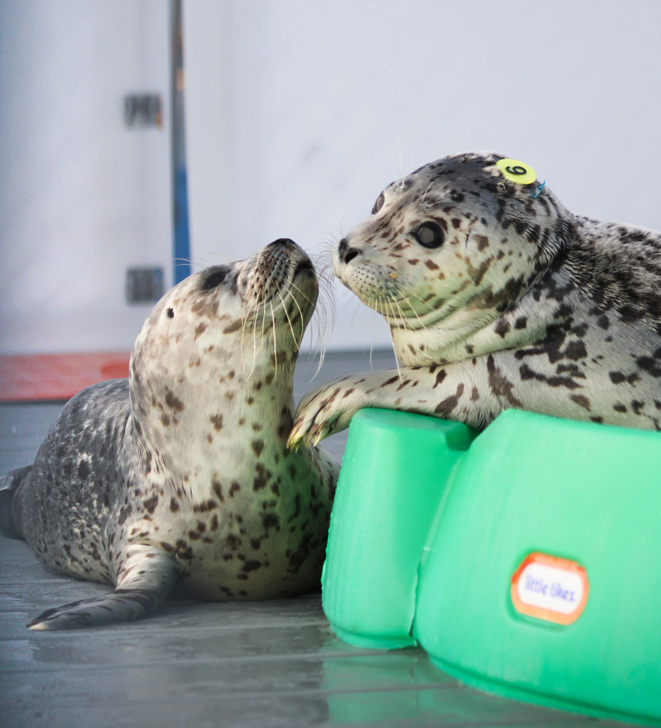 25_12_9_PV_DECK_02 (1).jpg