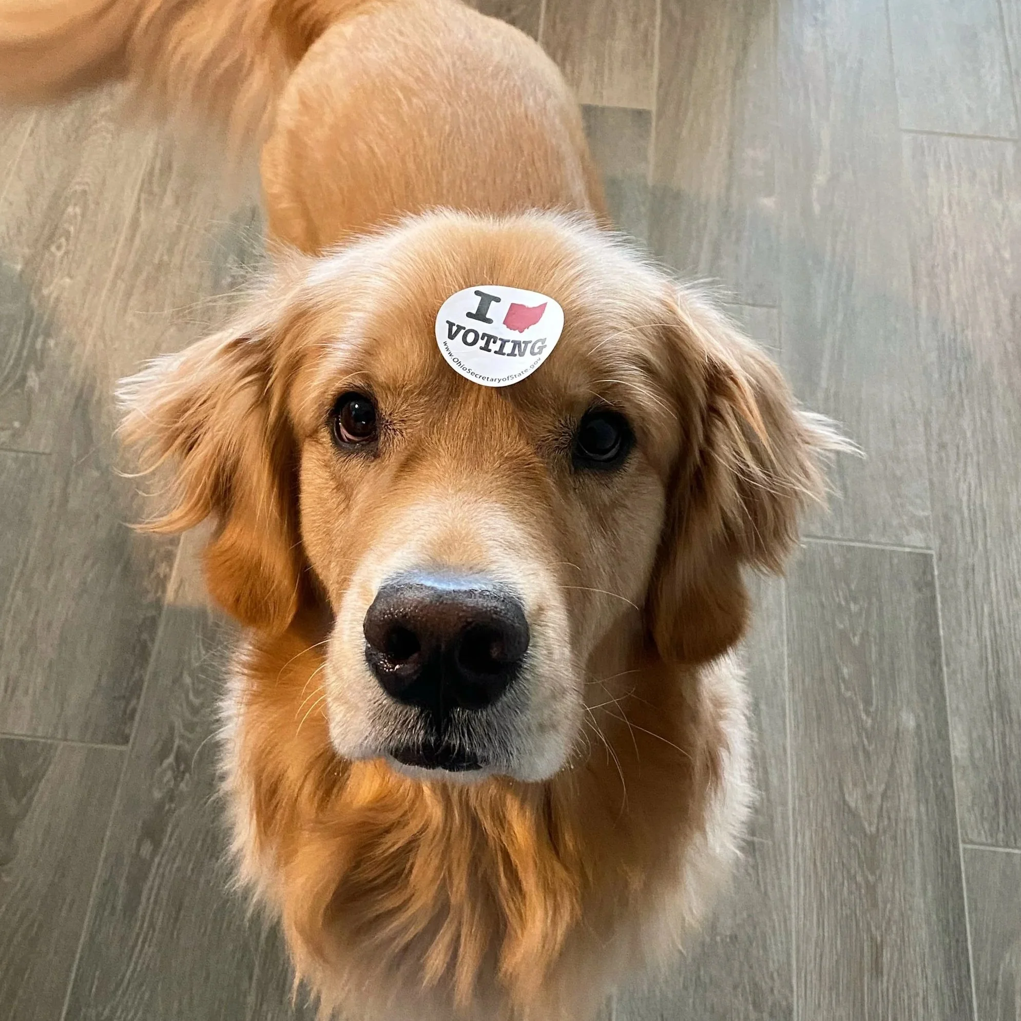 The Real Influence Issue