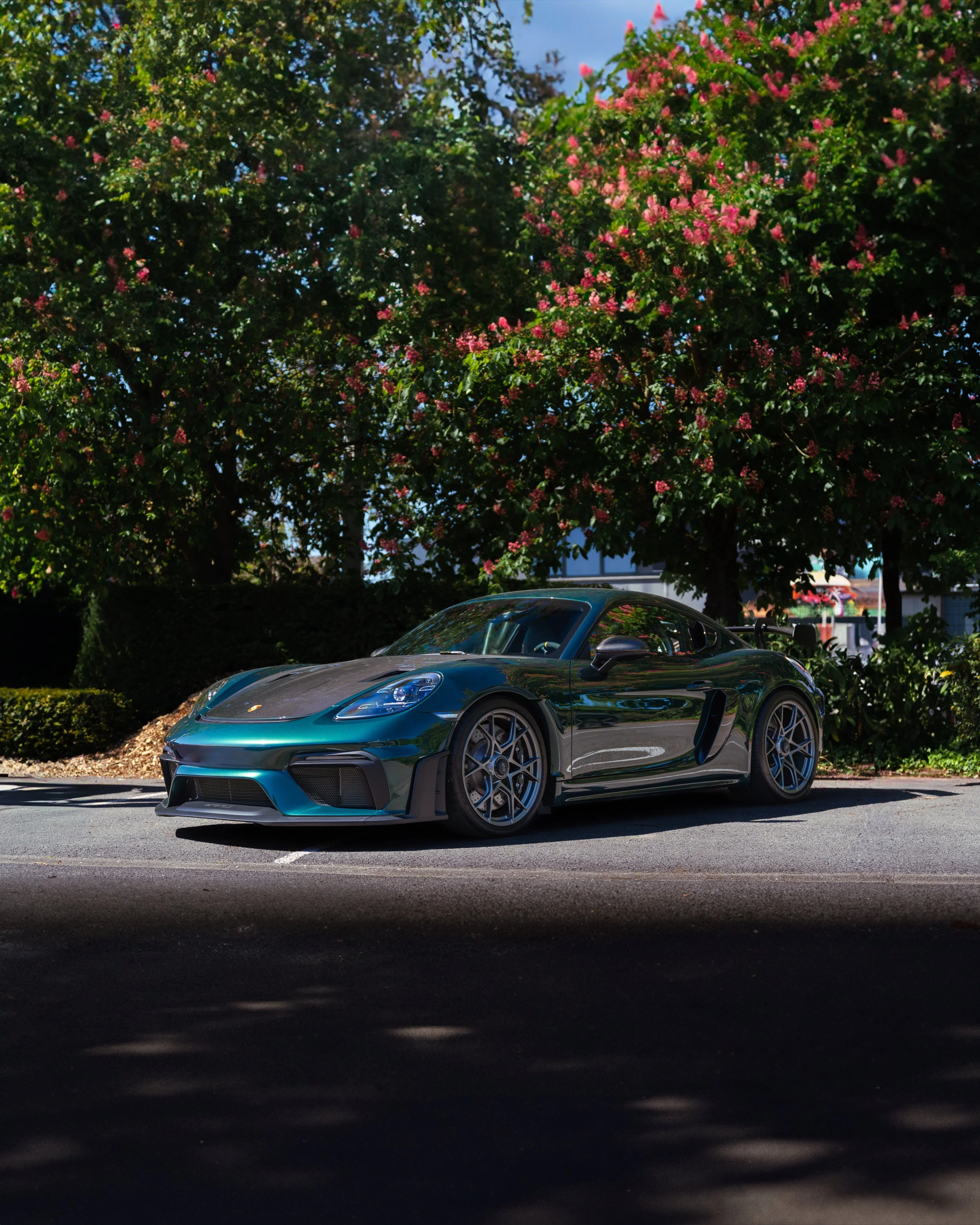 A dark green sports car parked on a street near flowering trees with pink blossoms and lush green foliage.