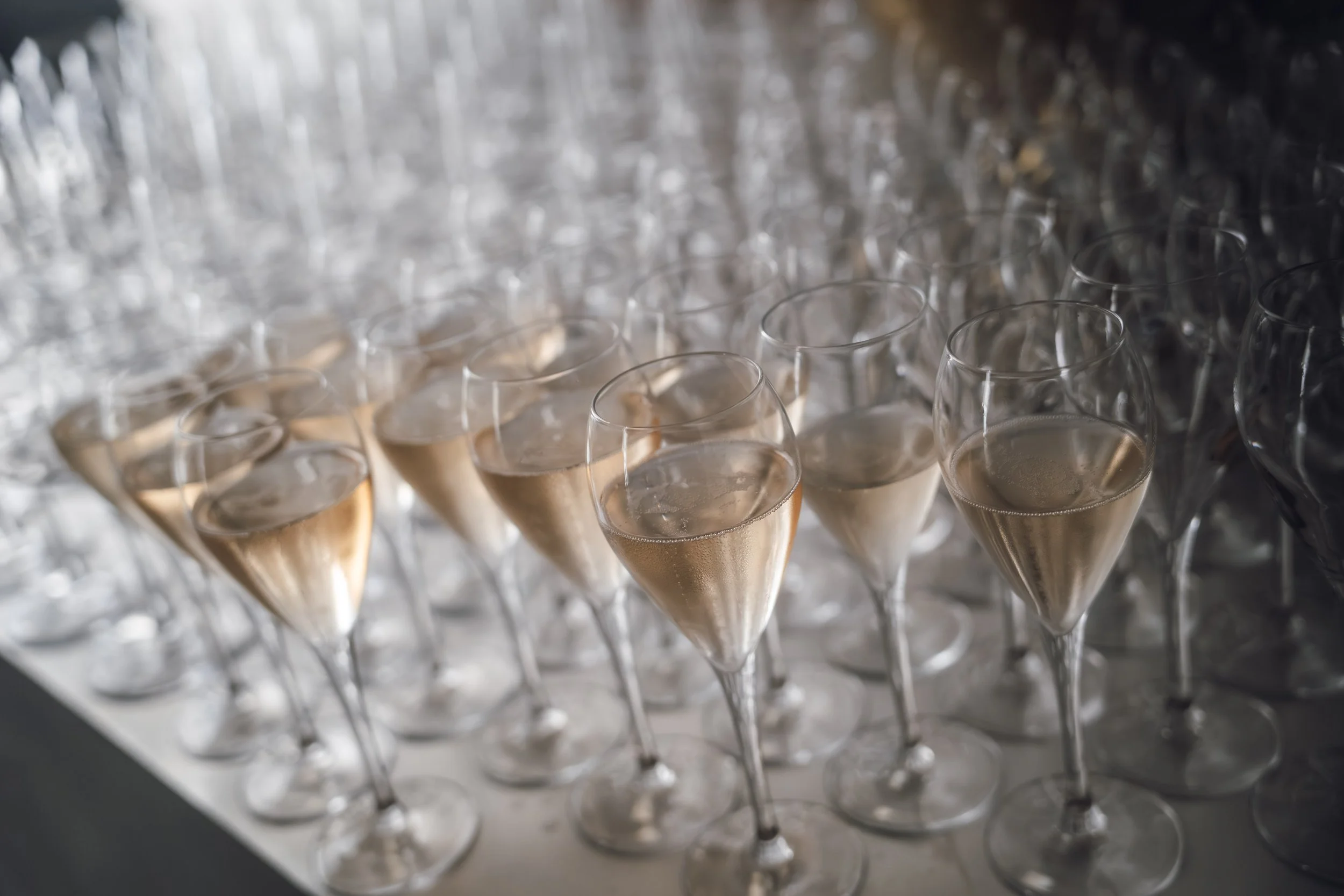 Multiple filled champagne flutes arranged in rows on a reflective surface with a blurred background.