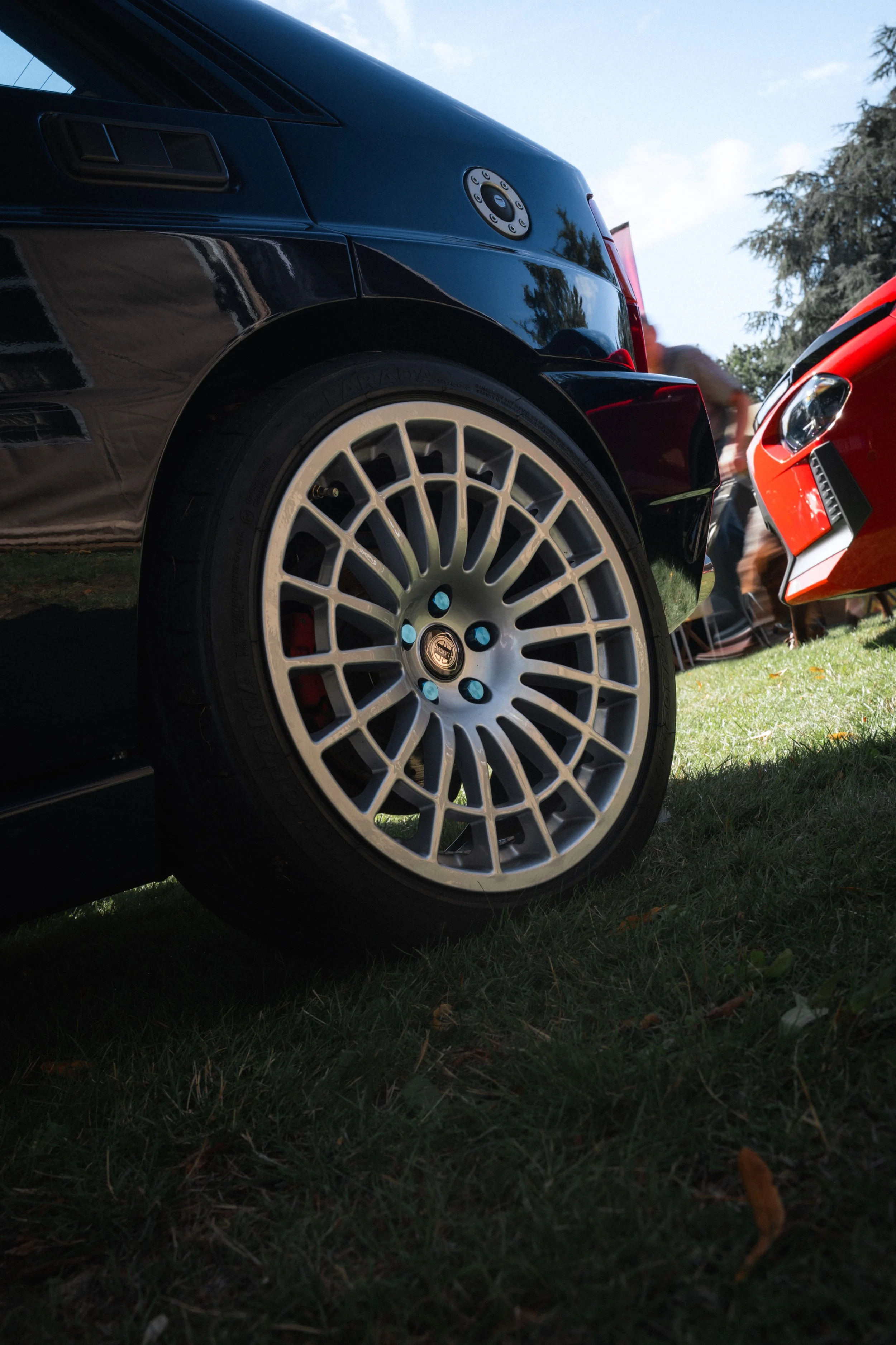 Antwerp Concours yelu-171.jpg