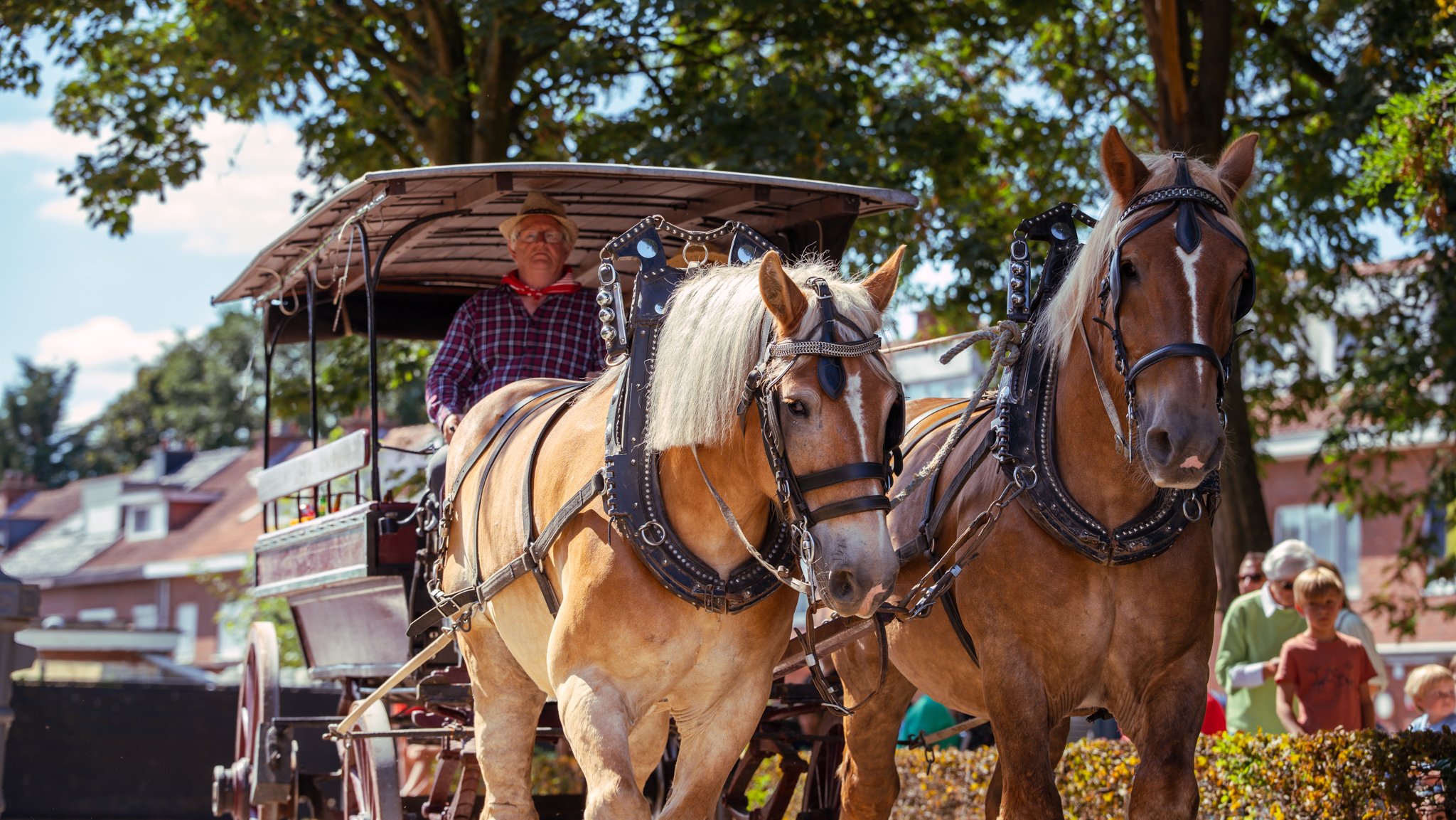 A horse-drawn carriage with two horses, a man sitting on the carriage, and people walking in the background on a sunny day.