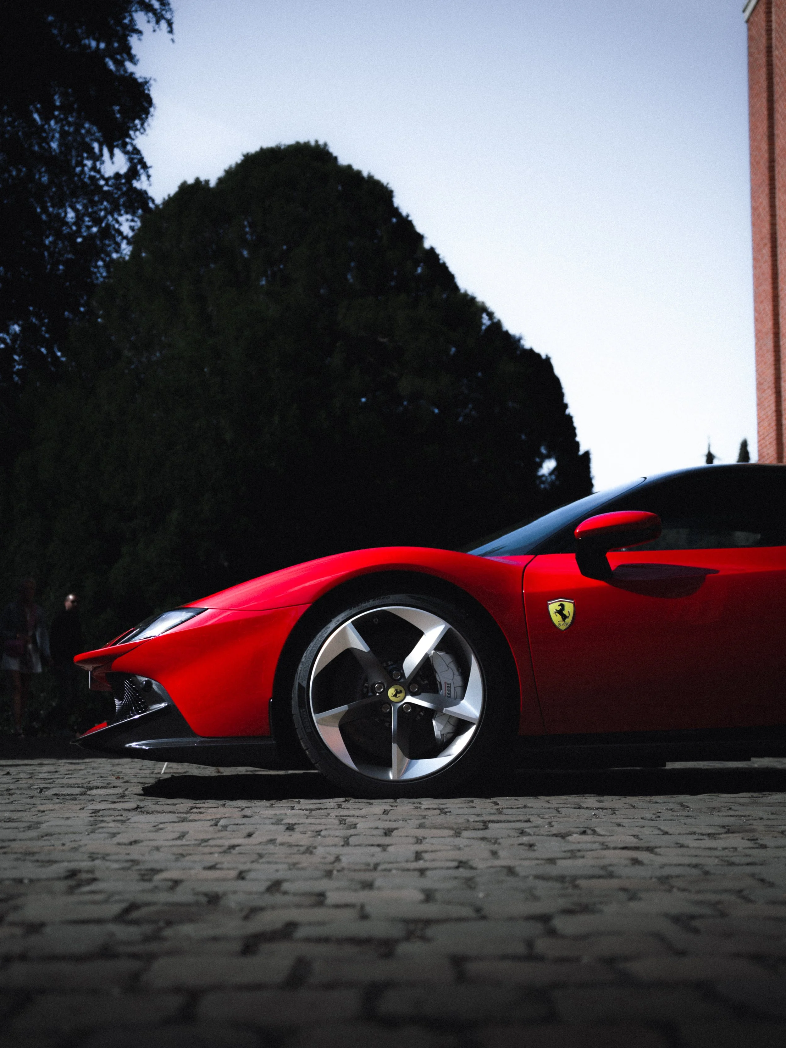 _DSC6019.jpg