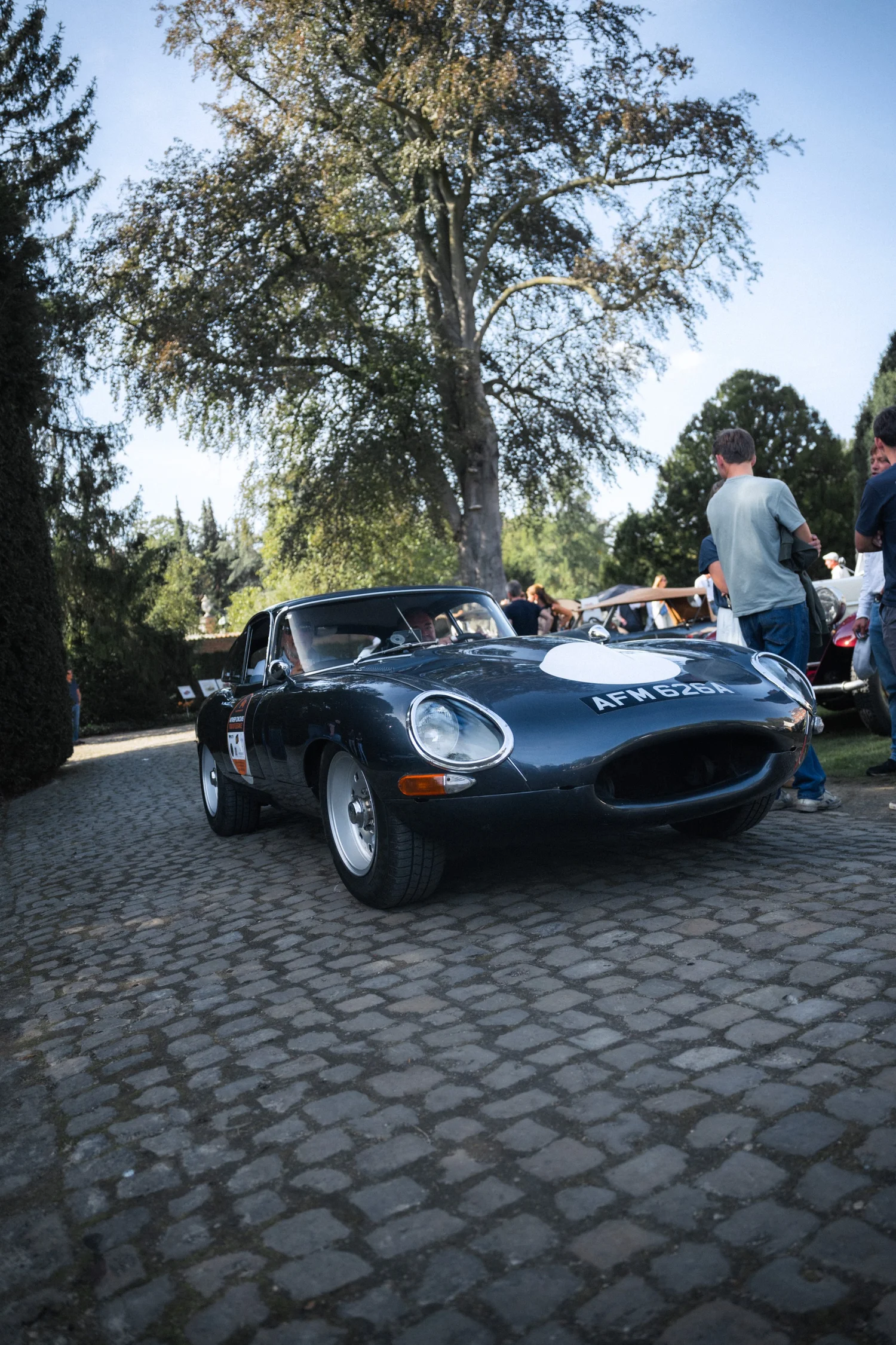Antwerp Concours 2026, evenement, fotograaf Puurs, yelu visuals