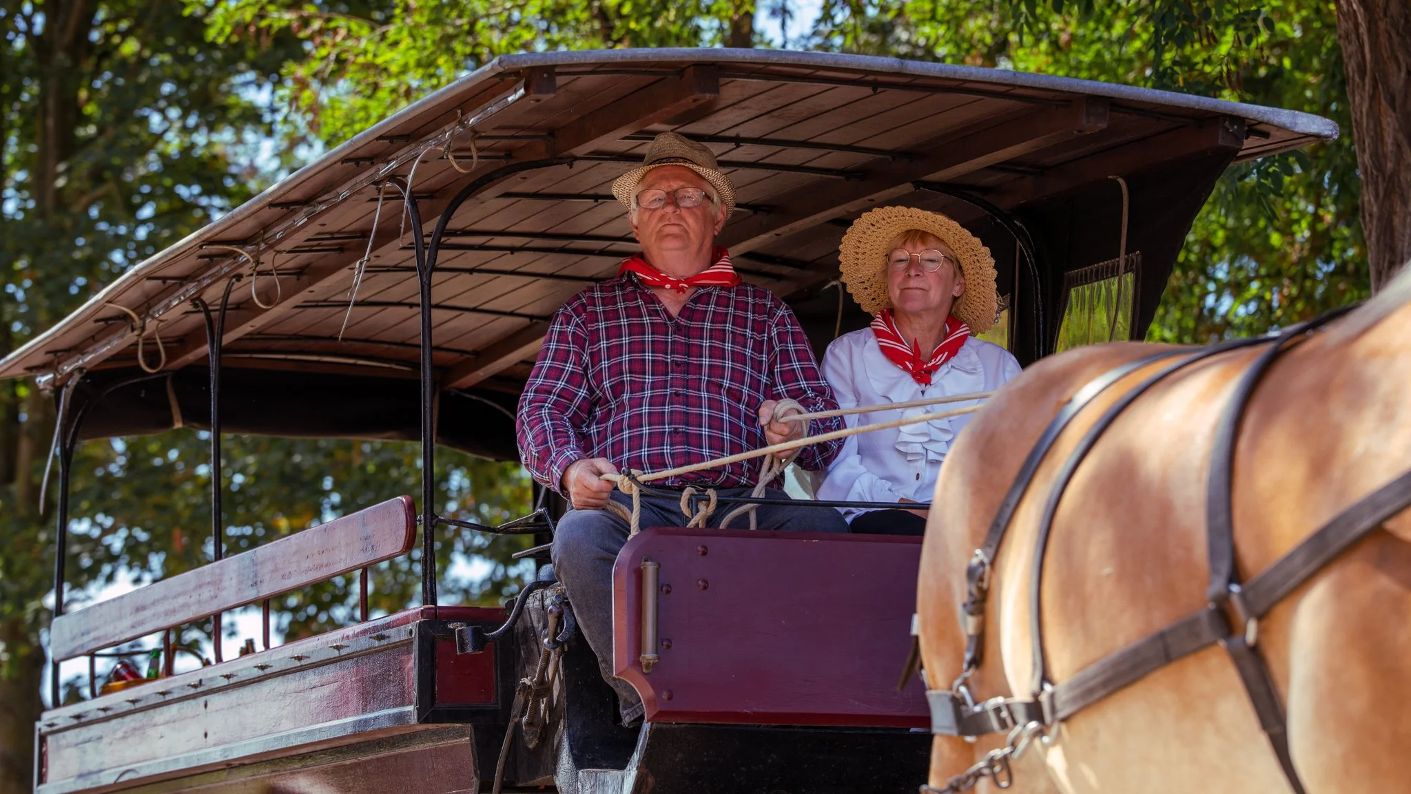 Two older people, a man and a woman, sitting on a horse-drawn carriage; they are dressed in vintage country attire with straw hats and red bandanas, surrounded by green trees.