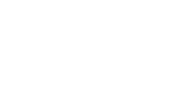 The Crew