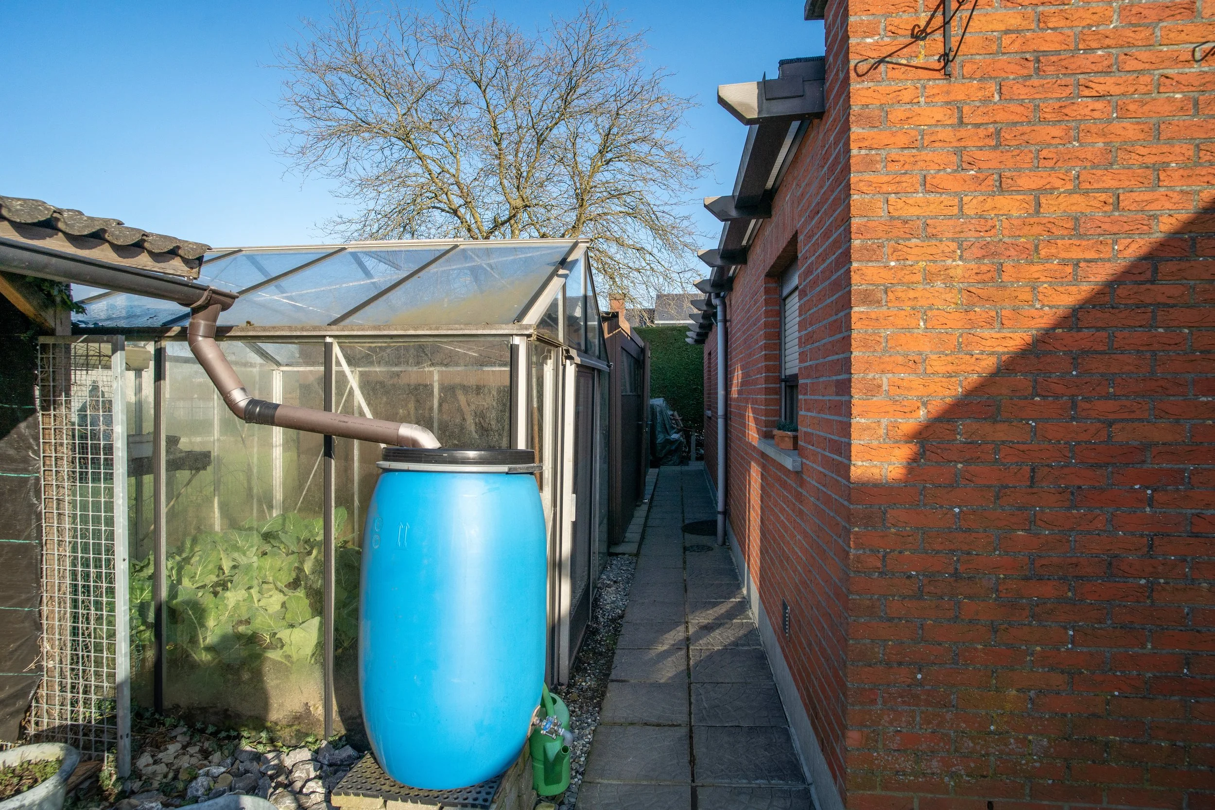 Lelielaan yelu visuals yenthe lufin-49.jpg