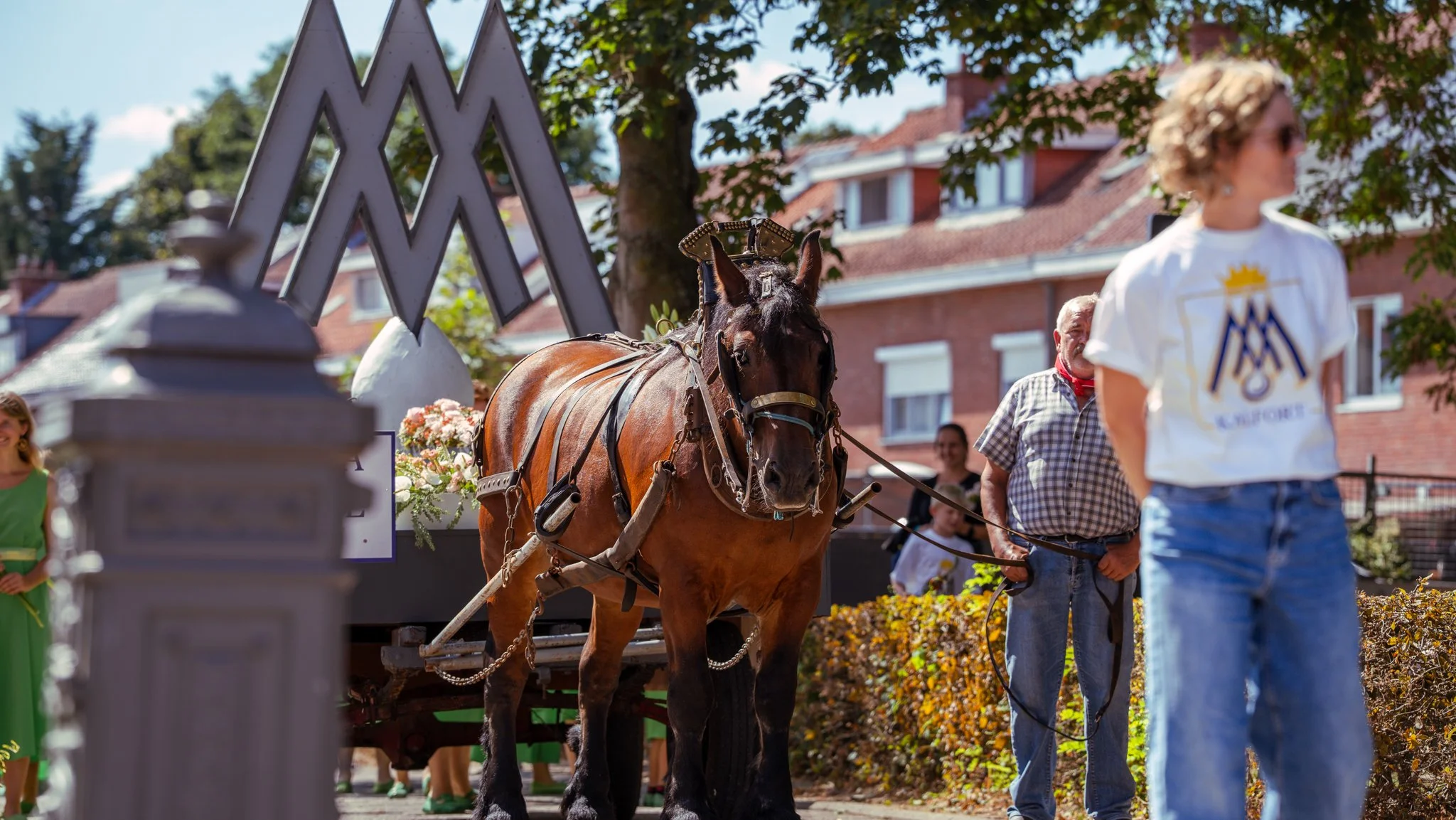 A parade scene with a brown draft horse harnessed to a decorated cart, surrounded by people, including a woman in a white T-shirt with a logo and blue jeans and an older man in a checkered shirt. There are buildings and trees in the background, with 