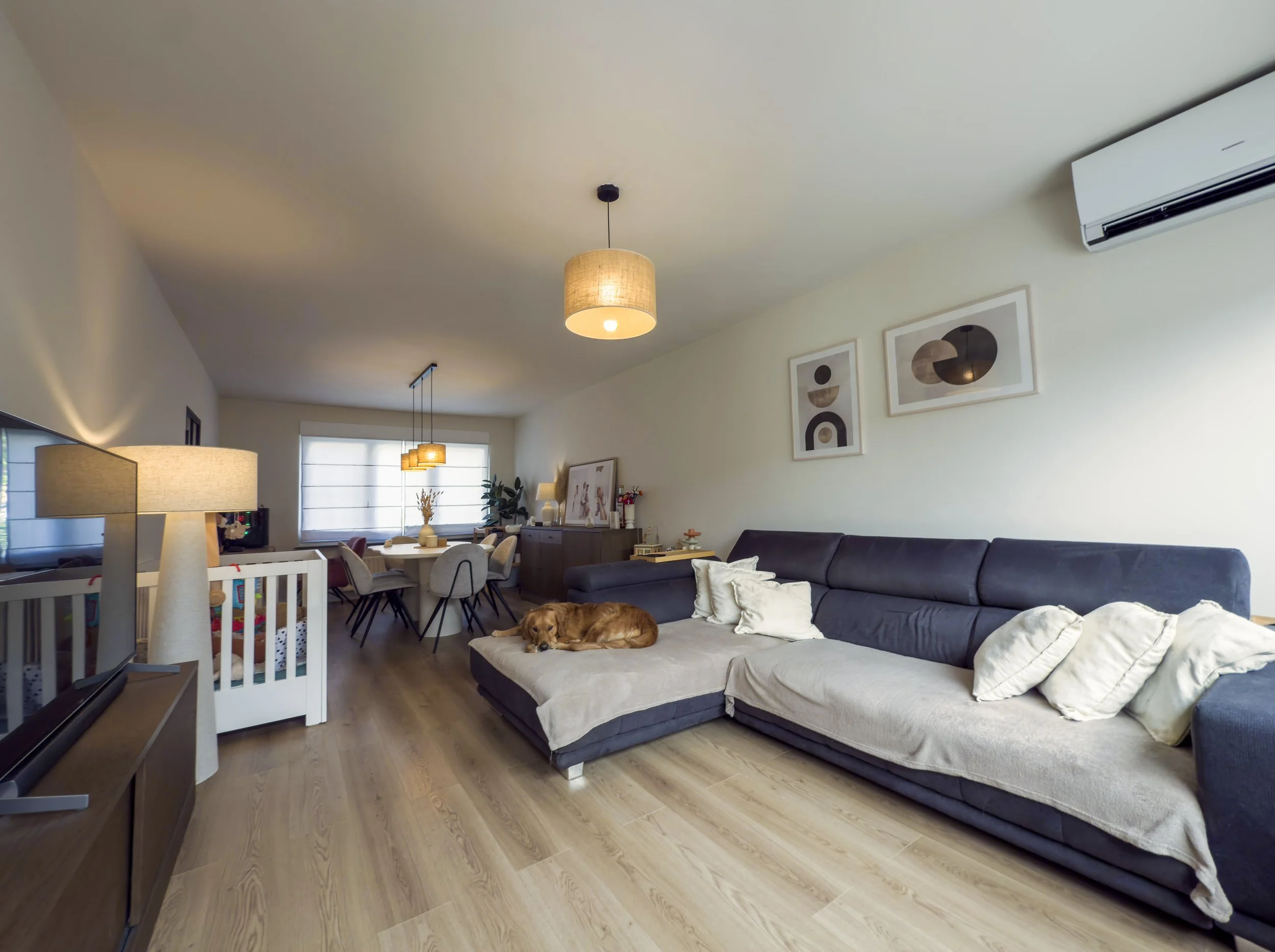 Kalfort Fabiolapark yelu yenthe lufin puurs fotograaf puurs architectuur event automotive