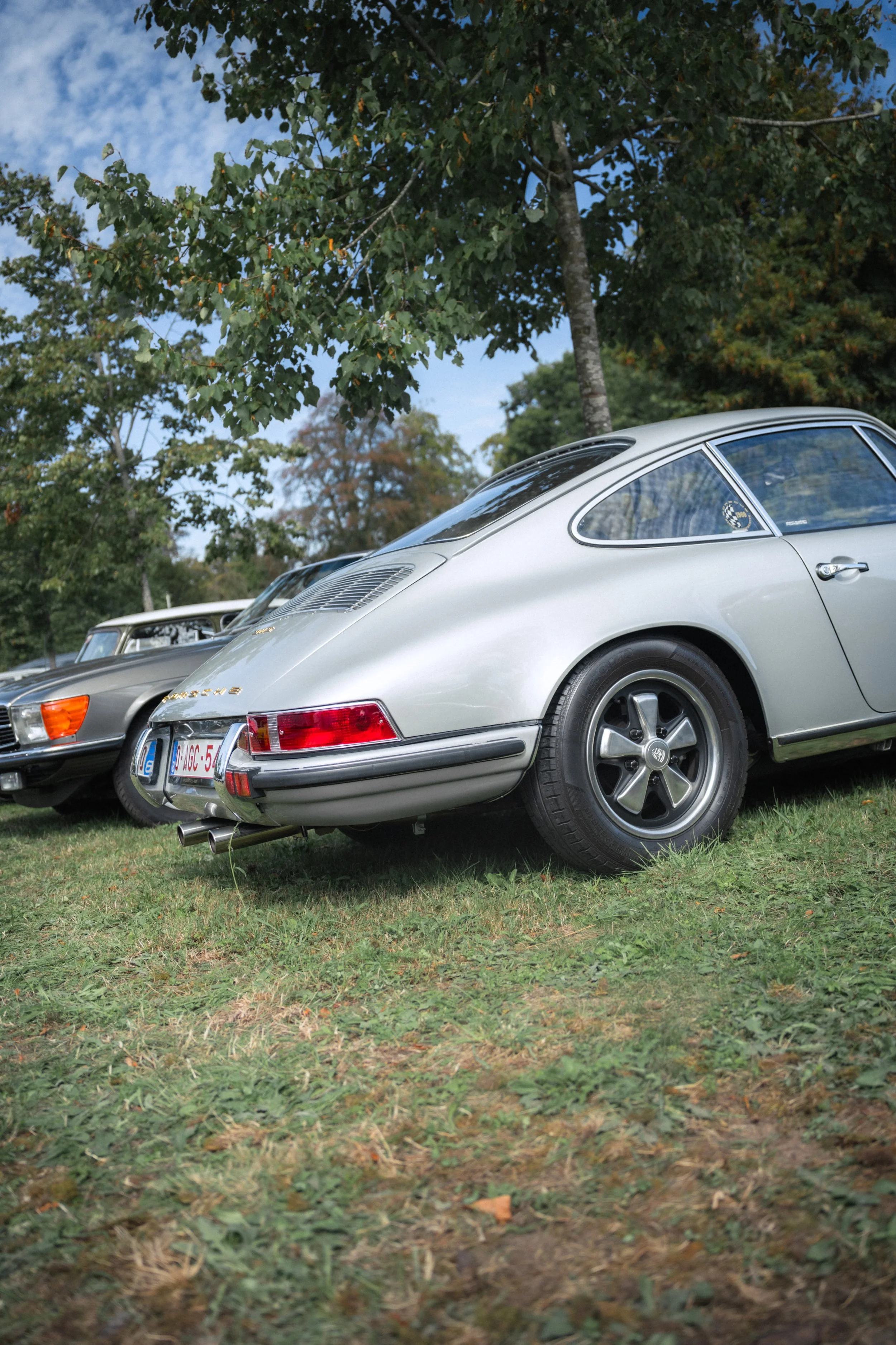 Antwerp Concours yelu-336.jpg