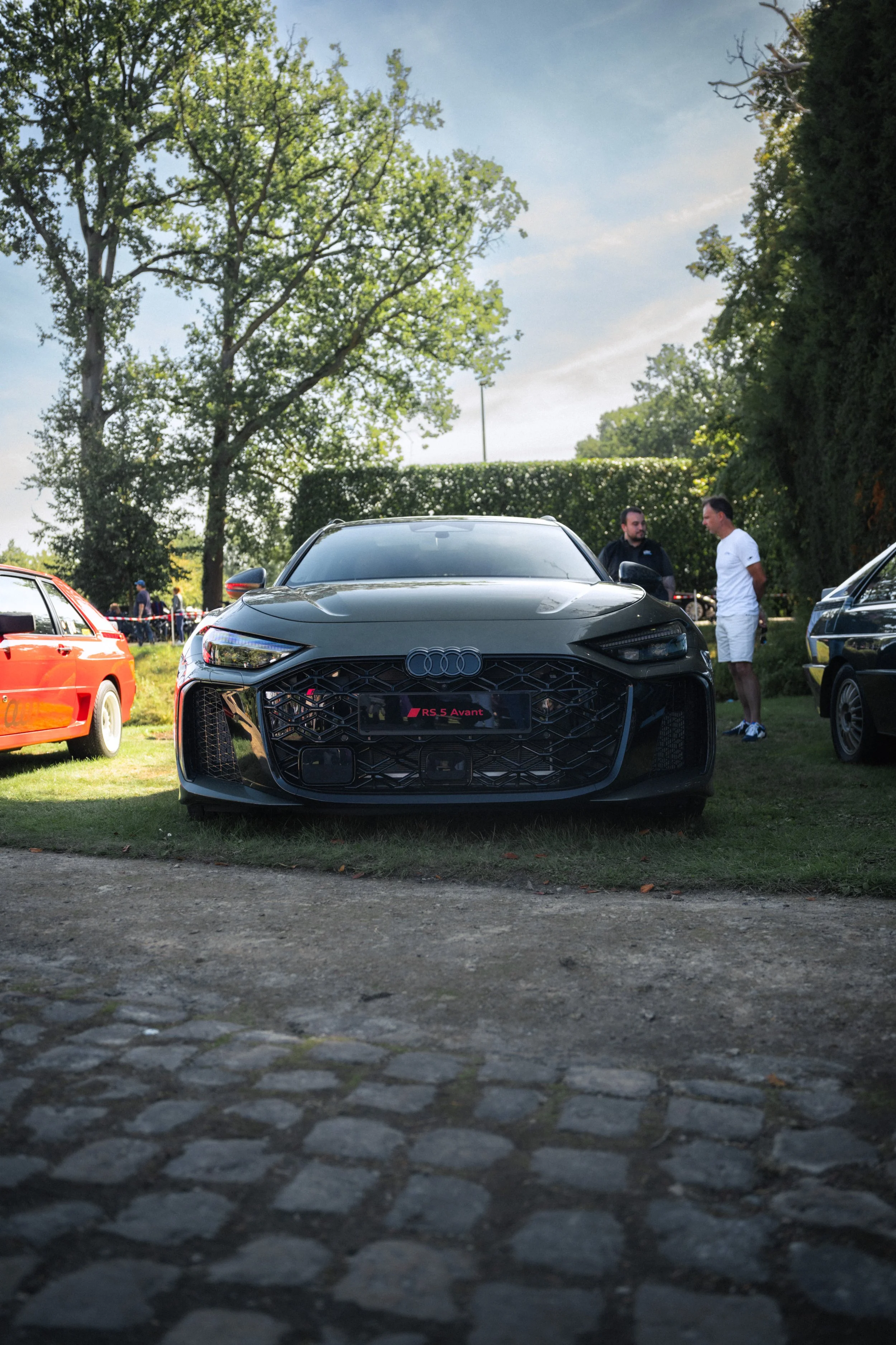 Antwerp Concours yelu-381.jpg