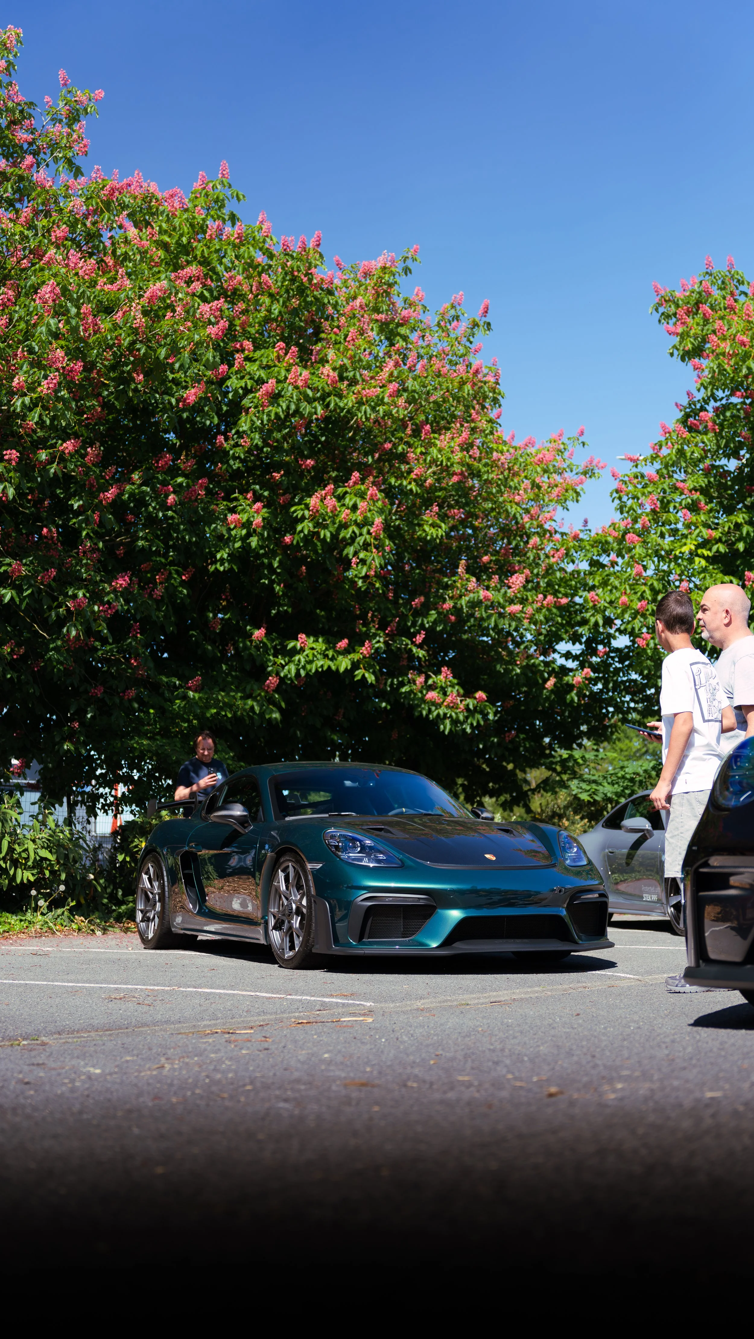 A dark green Porsche sports car parked in a lot with a large pink flowering tree and a bright blue sky in the background, with two men standing nearby and a woman in the distance.