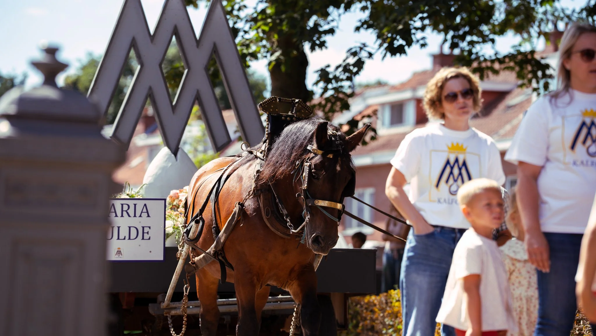 A brown horse with black mane harnessed to a cart, with people wearing white T-shirts and sunglasses nearby at an outdoor event.