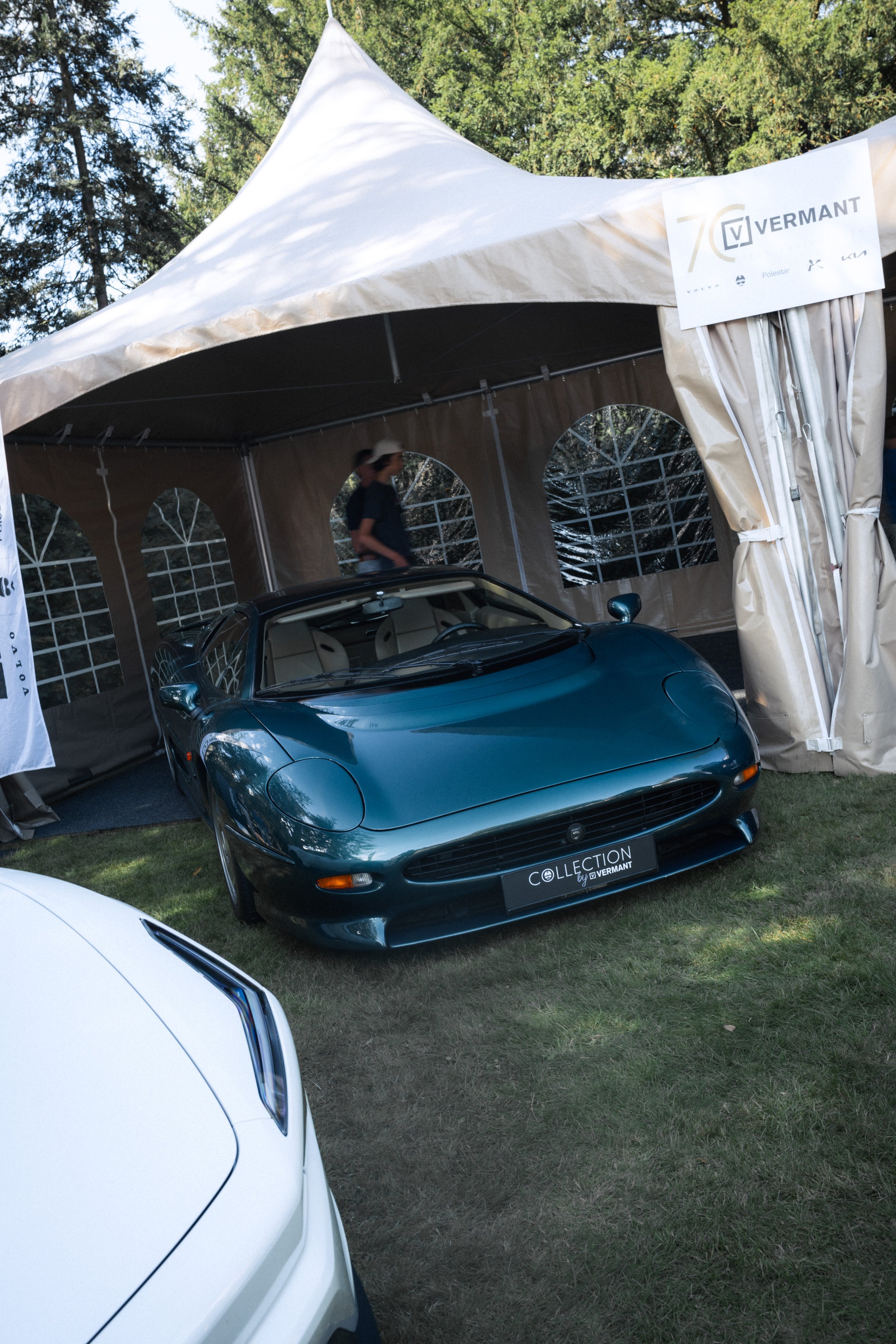 Antwerp Concours yelu-196.jpg