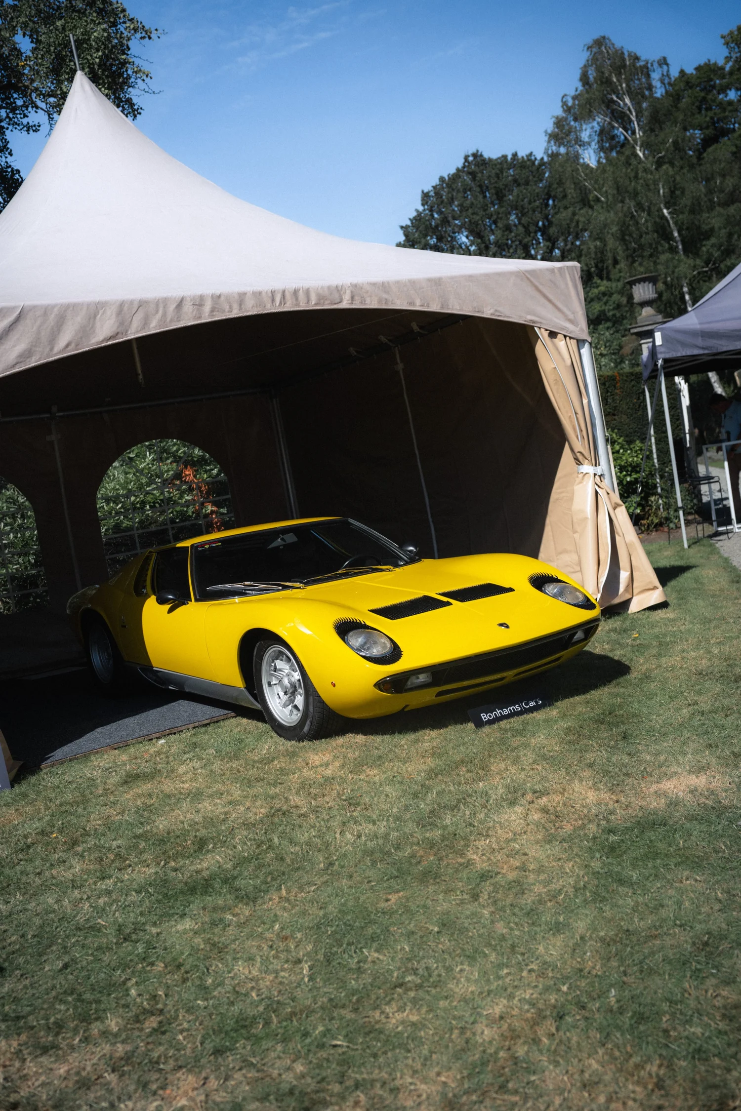 Antwerp Concours 2026, sfeerbeeld, event fotografie, fotograaf Antwerpen, yelu visuals