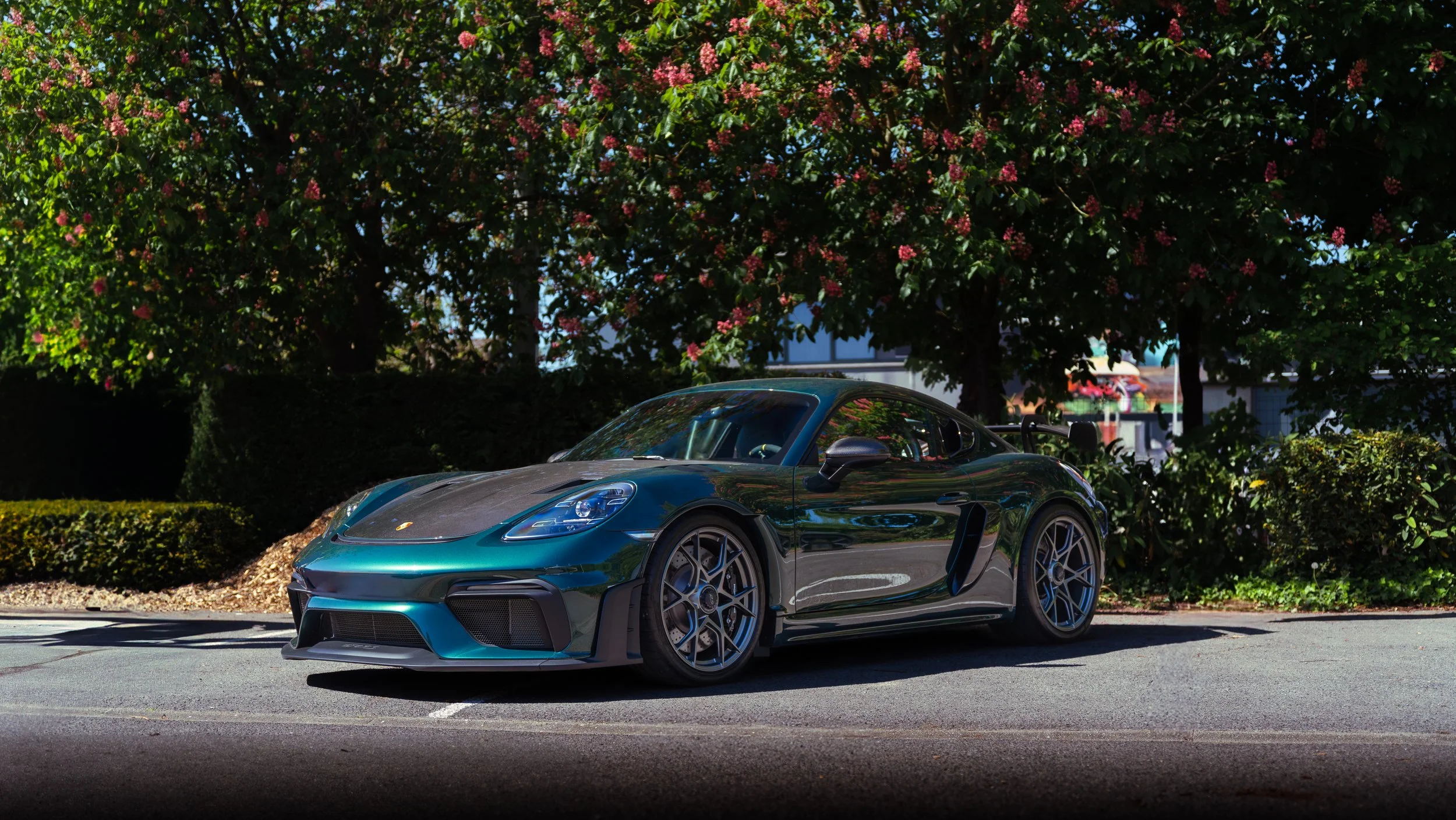 A dark green sports car parked on a road with trees and pink flowers in the background.