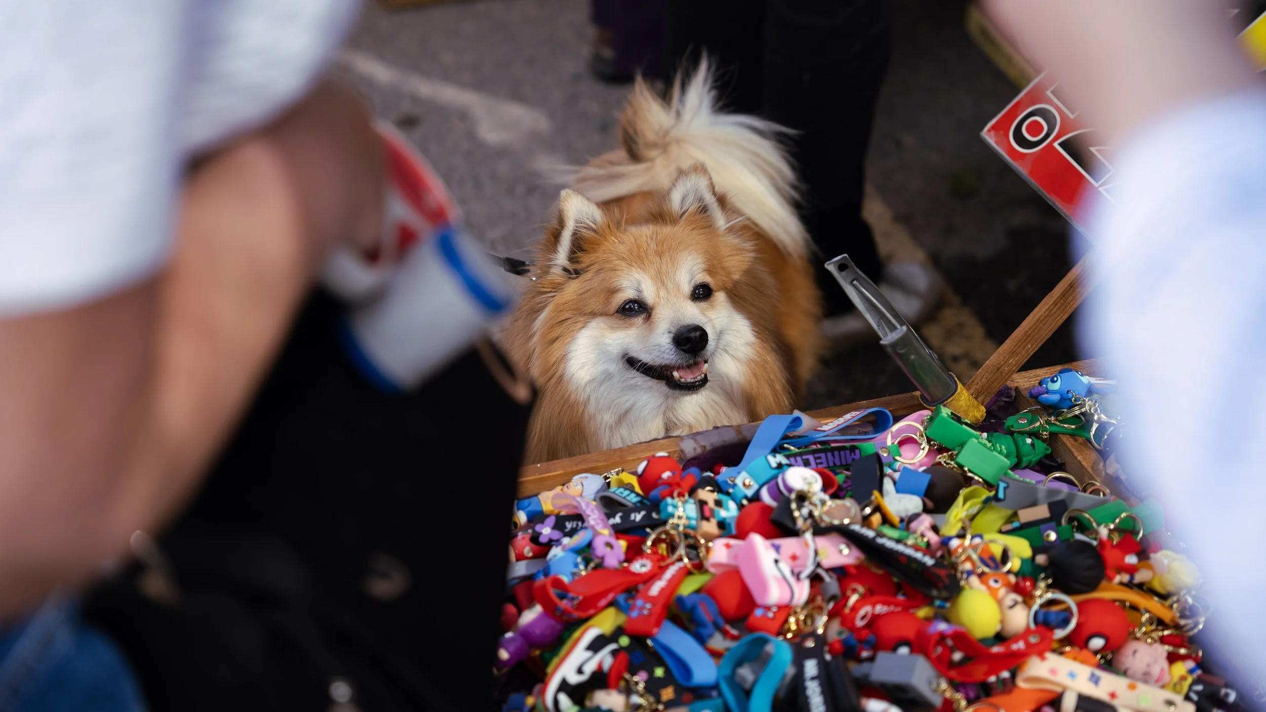Spanje yelu yenthe lufin puurs fotograaf puurs architectuur event automotive